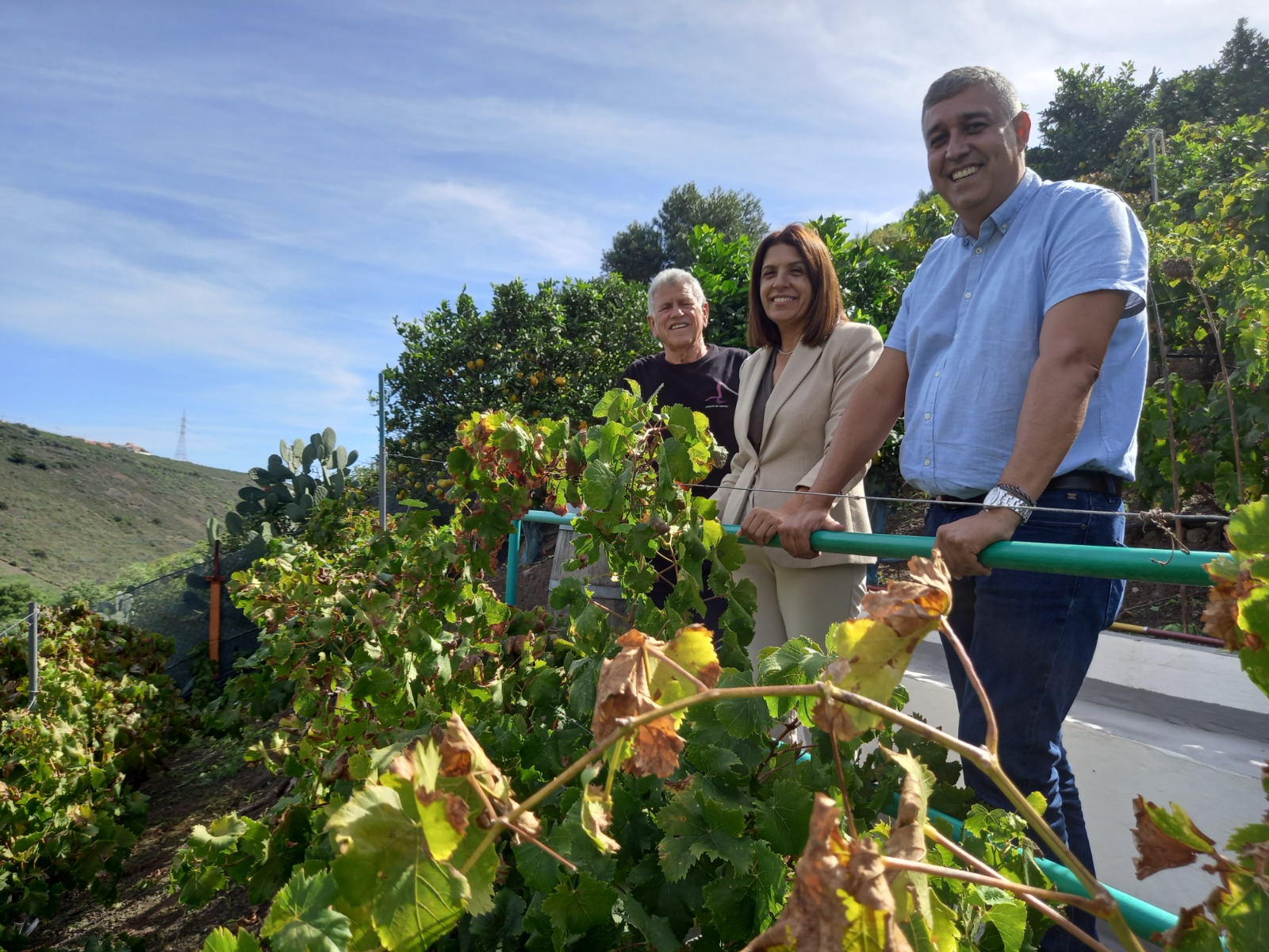 Bodega Señorío de Cabrera en Telde (Gran Canaria) / CanariasNoticias.es