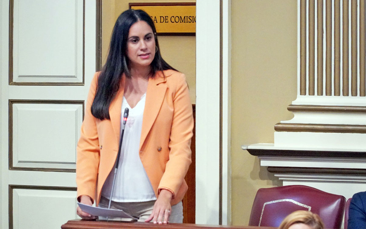 Vidina Espino, en el Parlamento de Canarias / CanariasNoticias.es