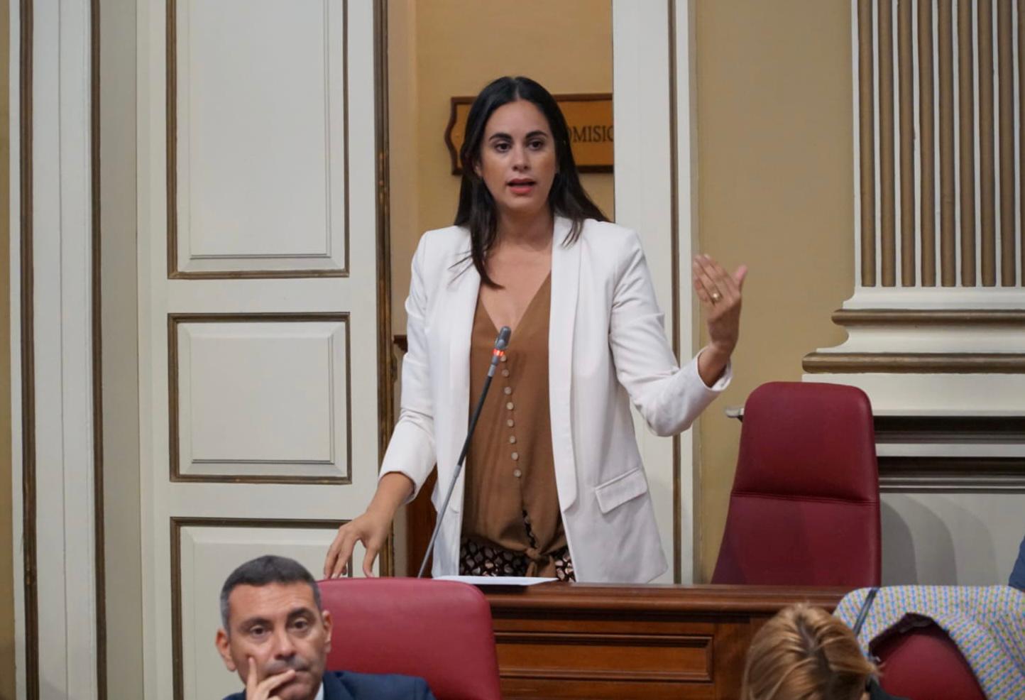 Vidina Espino, en el Parlamento de Canarias / CanariasNoticias.es Vidina Espino, en el Parlamento de Canarias / CanariasNoticias.es