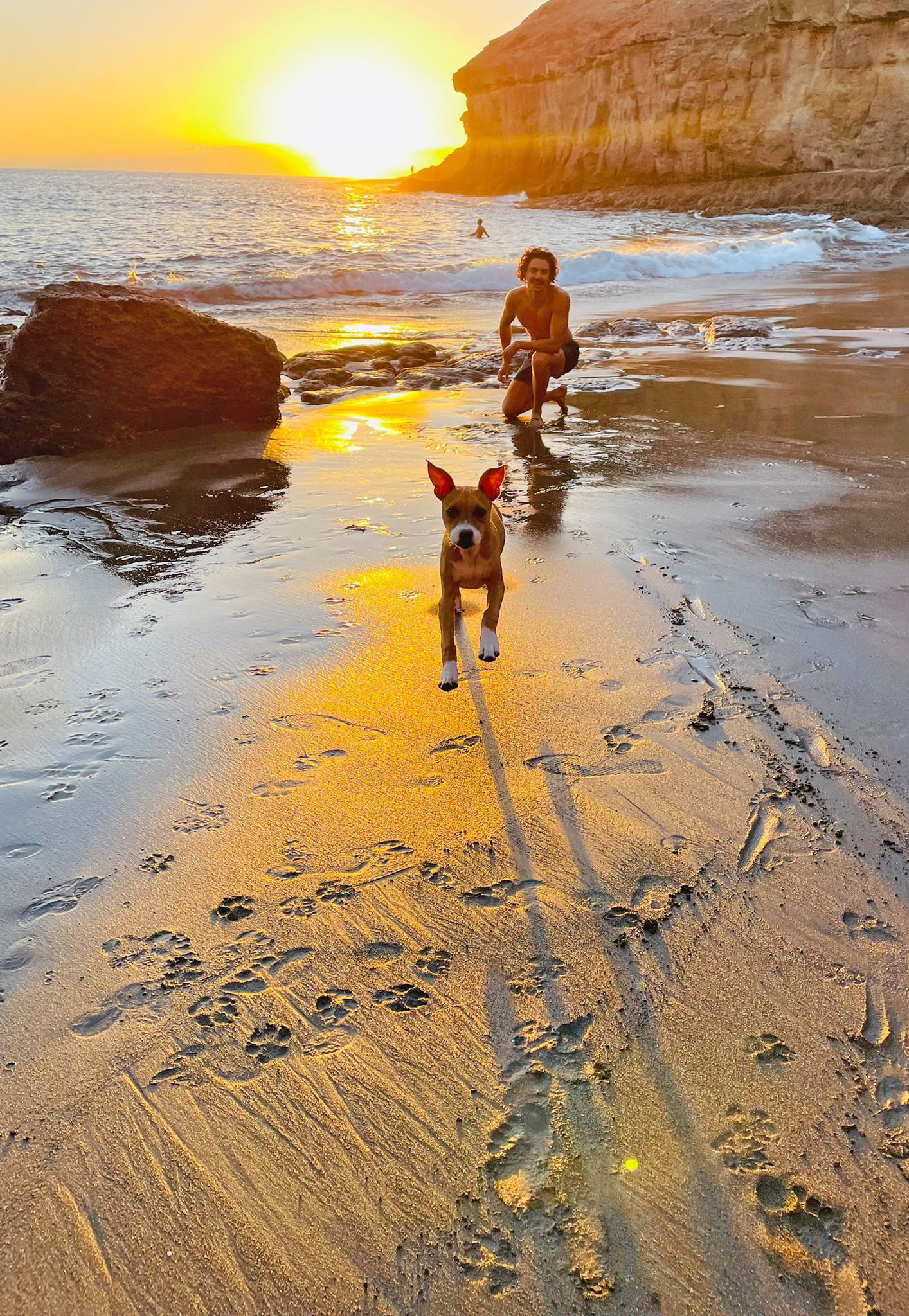 Ganadores del concurso ‘De vacaciones con mi perro’ / CanariasNoticias.es