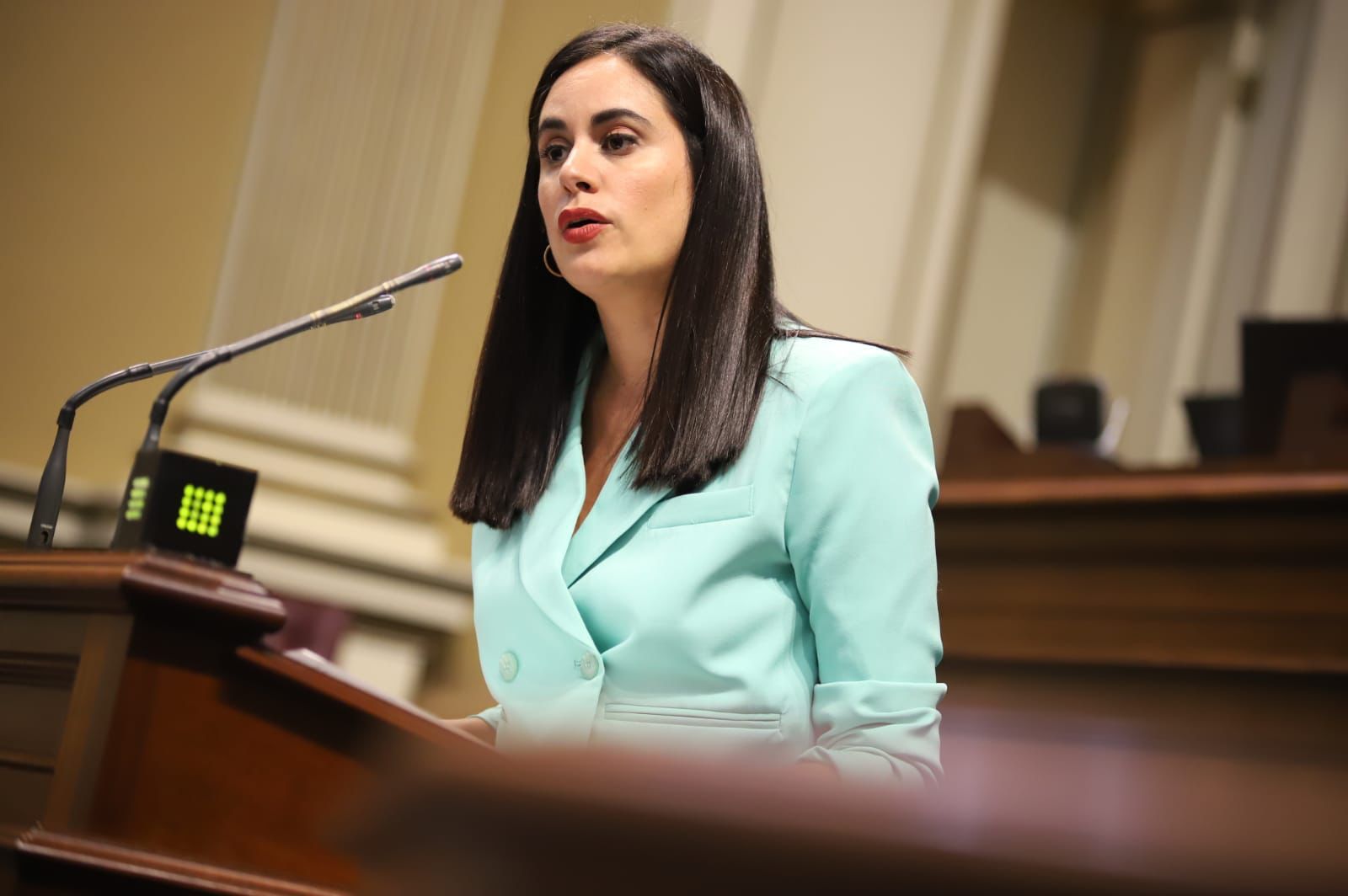 Vidina Espino, en el Parlamento de Canarias / CanariasNoticias.es Vidina Espino, en el Parlamento de Canarias / CanariasNoticias.es