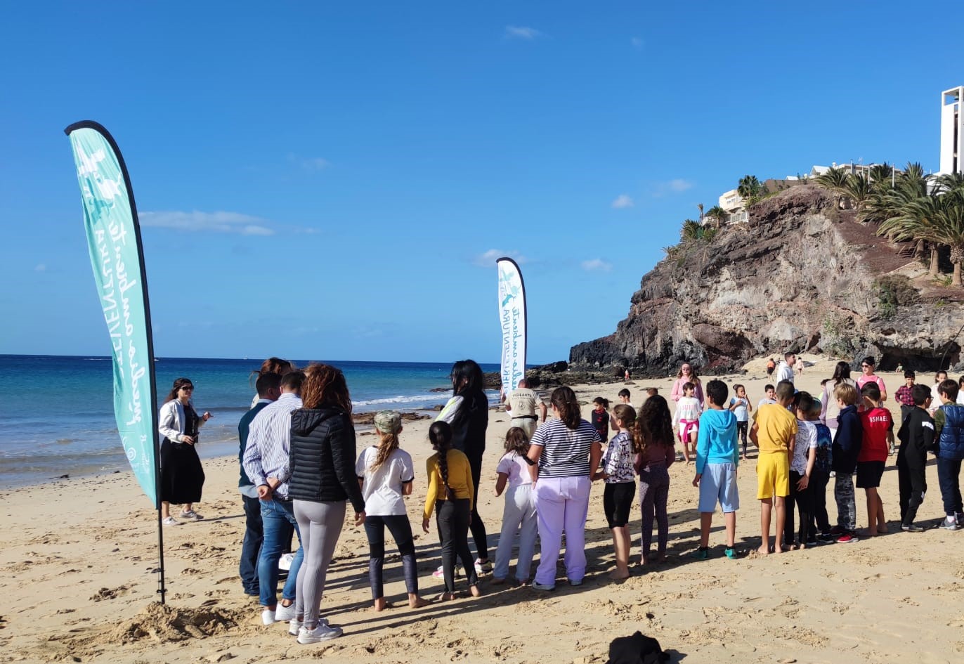 Suelta de tortuga en Playa de Morro Jable (Fuerteventura) / CanariasNoticias.es Suelta de tortuga en Playa de Morro Jable (Fuerteventura) / CanariasNoticias.es