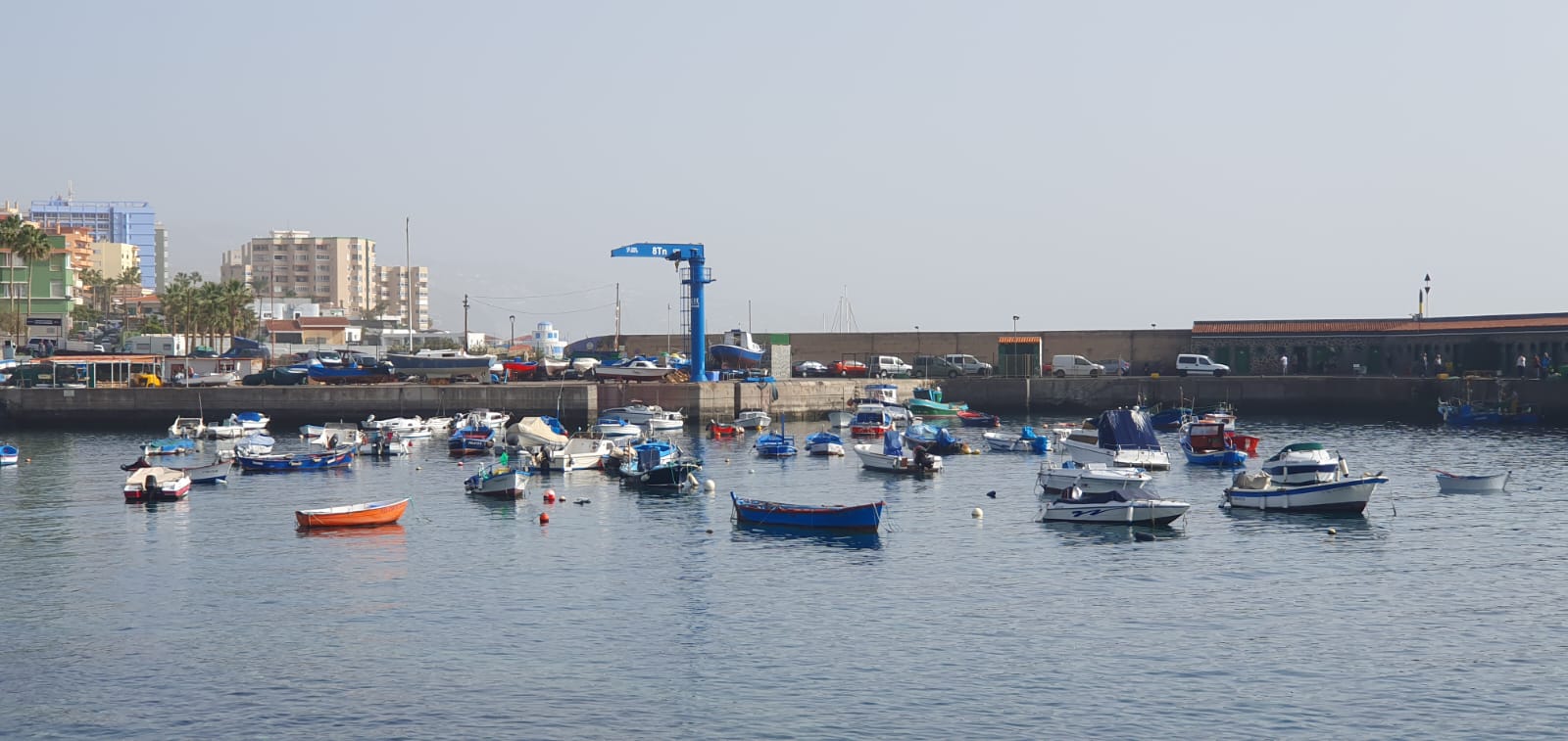 Muelle pesquero de Candelaria / CanariasNoticias.es 