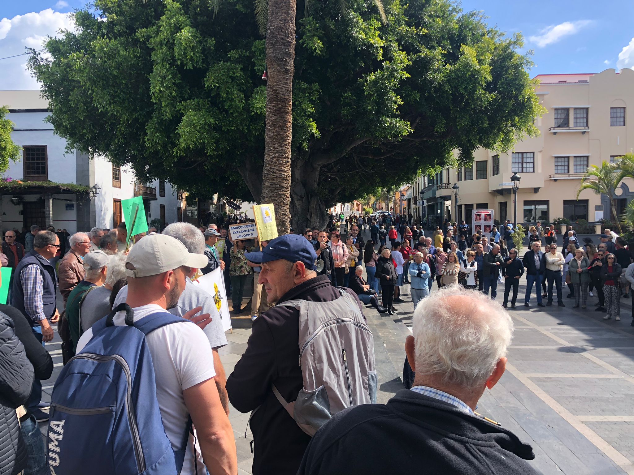 Protesta de la Plataforma por un Precio Justo para el Plátano / CanariasNoticias.es 