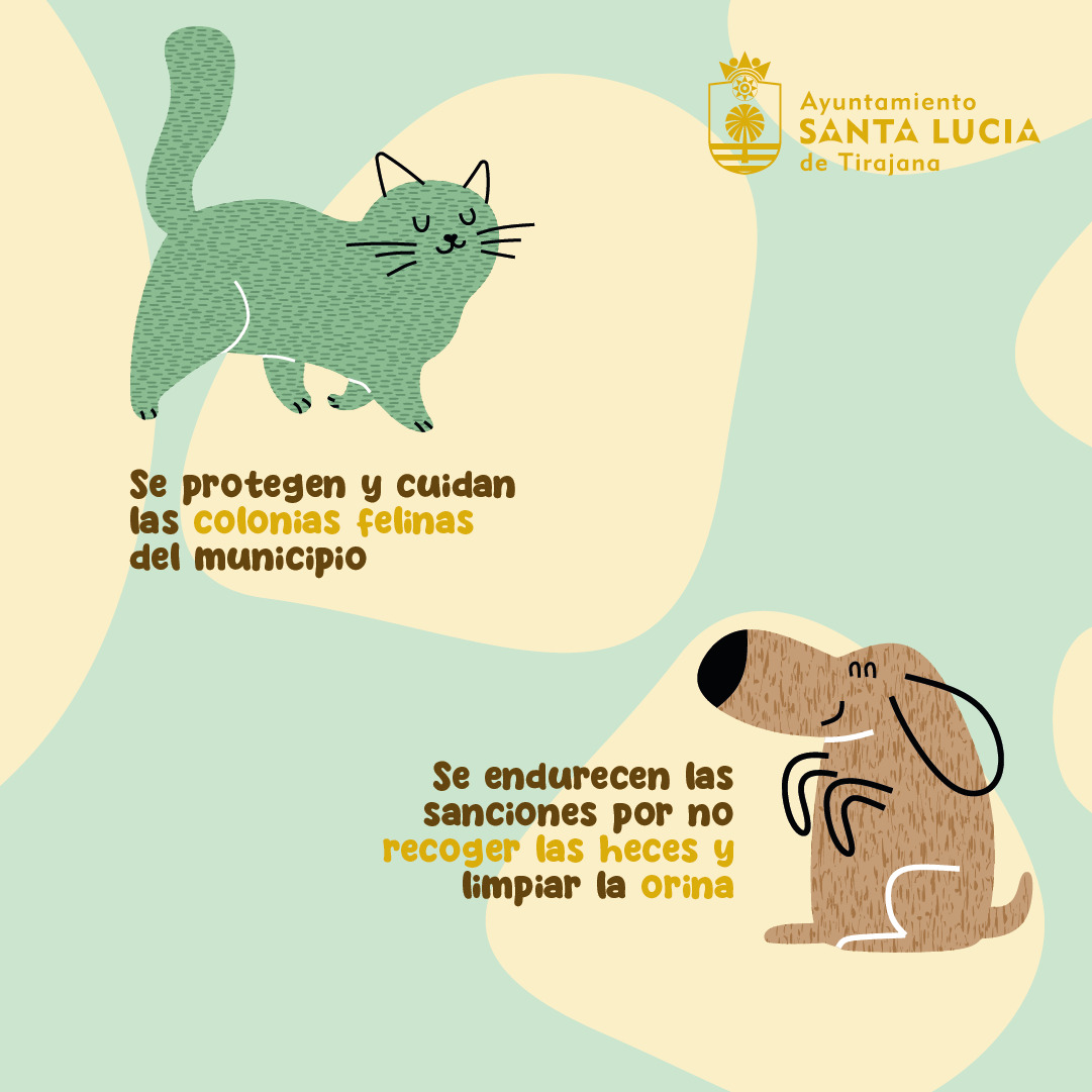 Santa Lucía aprueba nueva ordenanza de Bienestar Animal / CanariasNoticias.es 