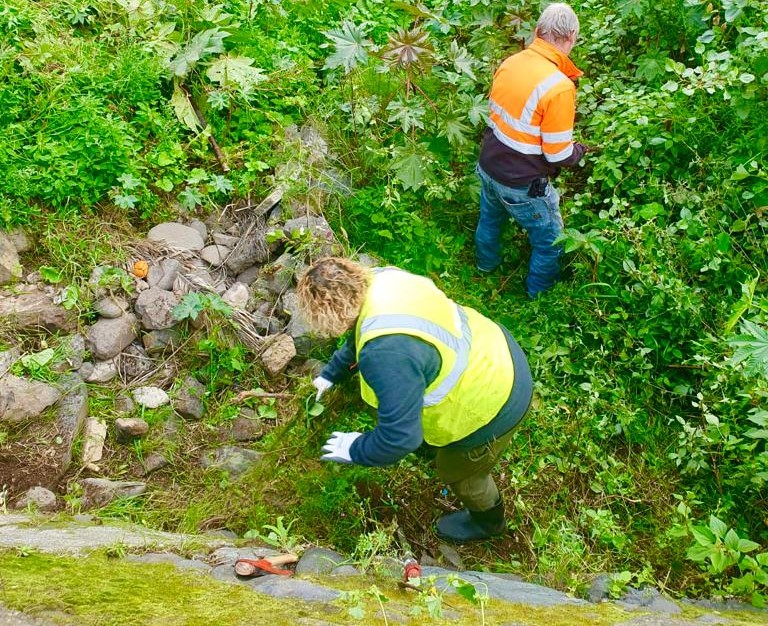 Limpieza del barranco del Tundidor en Telde / CanariasNoticias.es