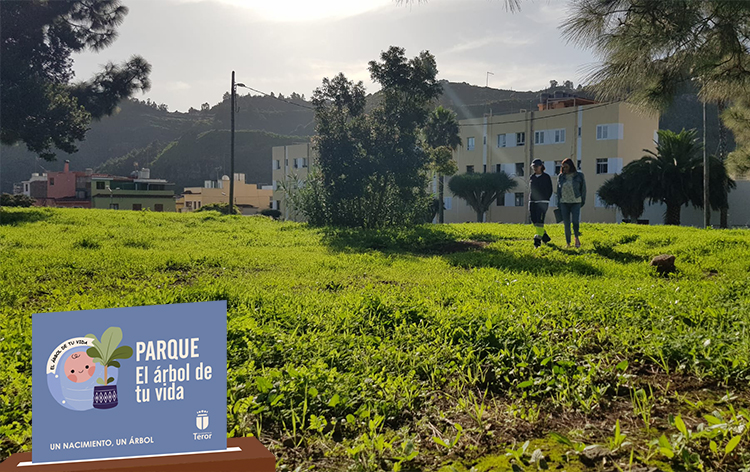 Parque el Árbol de tu vida en Teror / CanariasNoticias.es Parque el Árbol de tu vida en Teror / CanariasNoticias.es