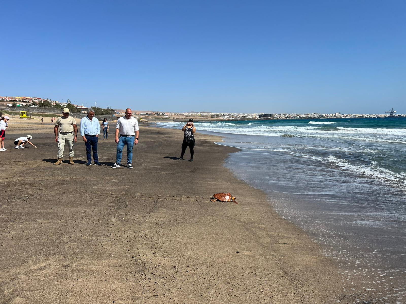 Suelta de tortugas en Playa Blanca / CanariasNoticias.es