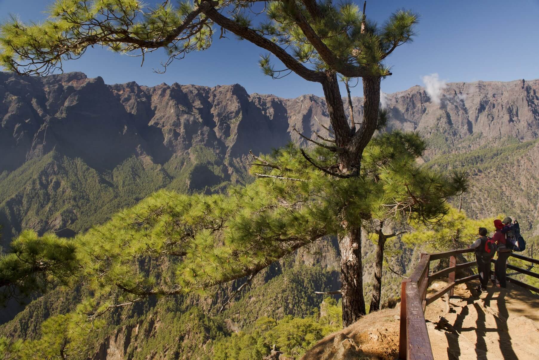 La Palma La Palma