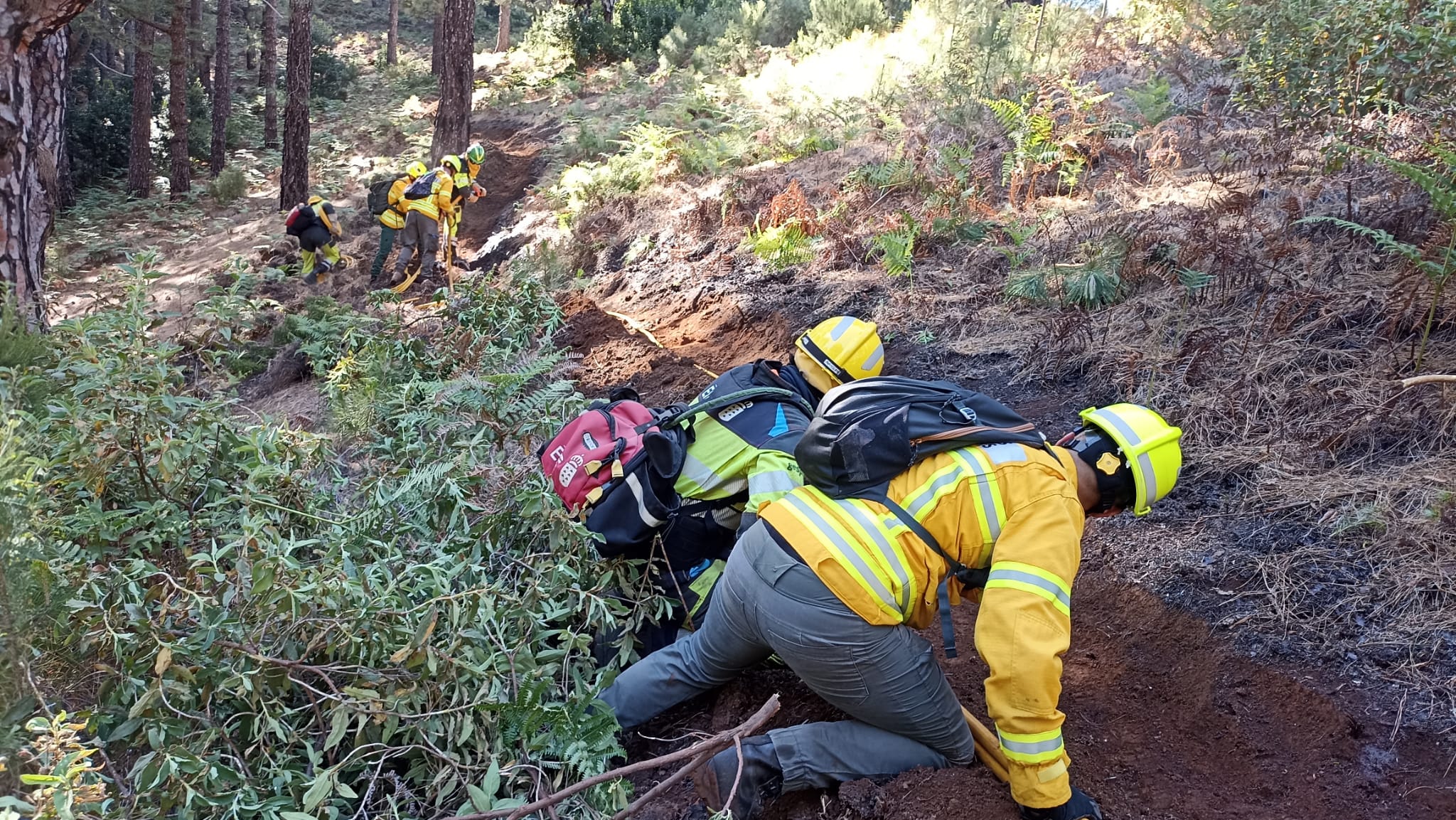 EIRIF forma a agentes forestales de Madeira / CanariasNoticias.es 