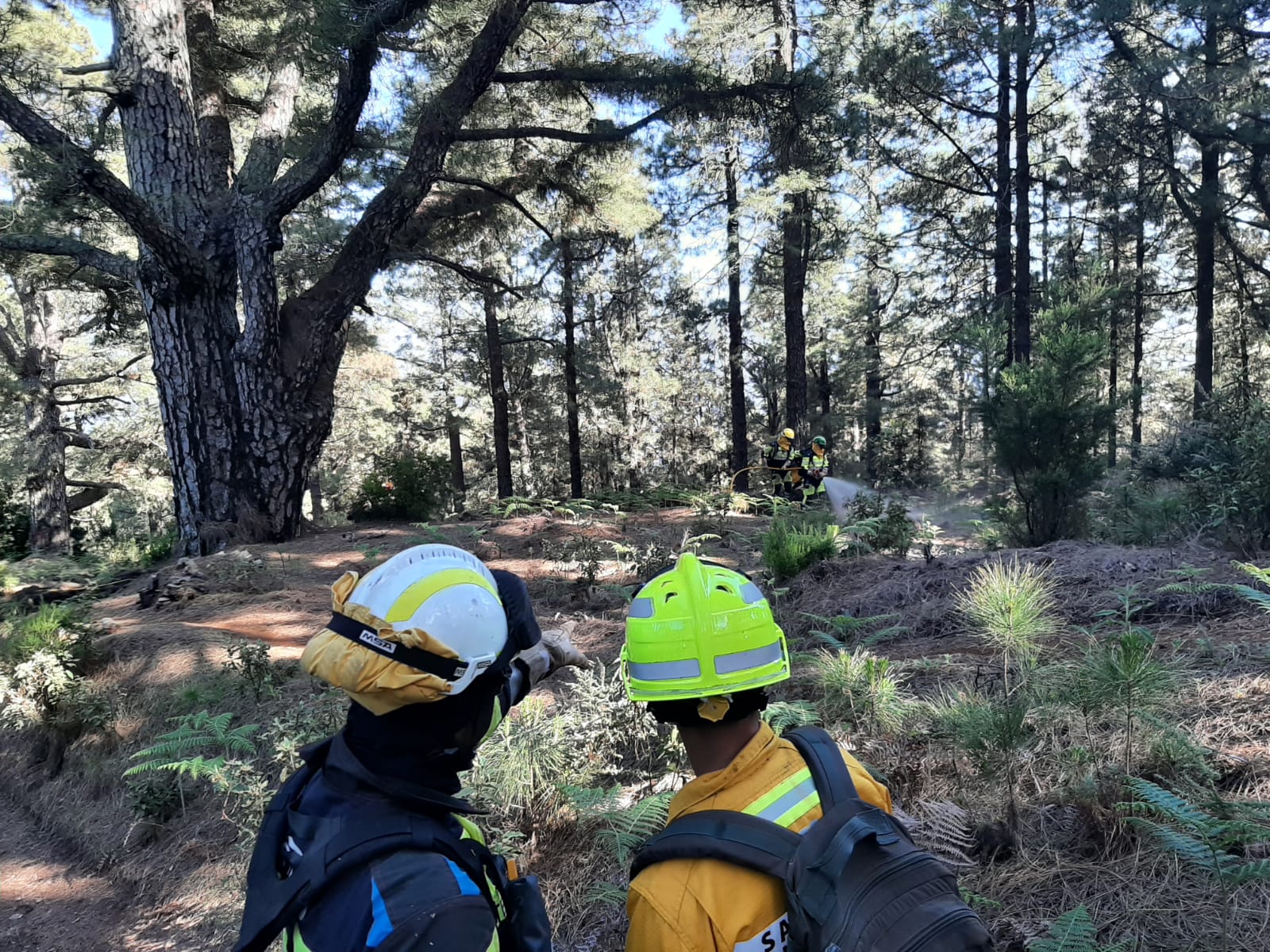 EIRIF forma a agentes forestales de Madeira / CanariasNoticias.es 