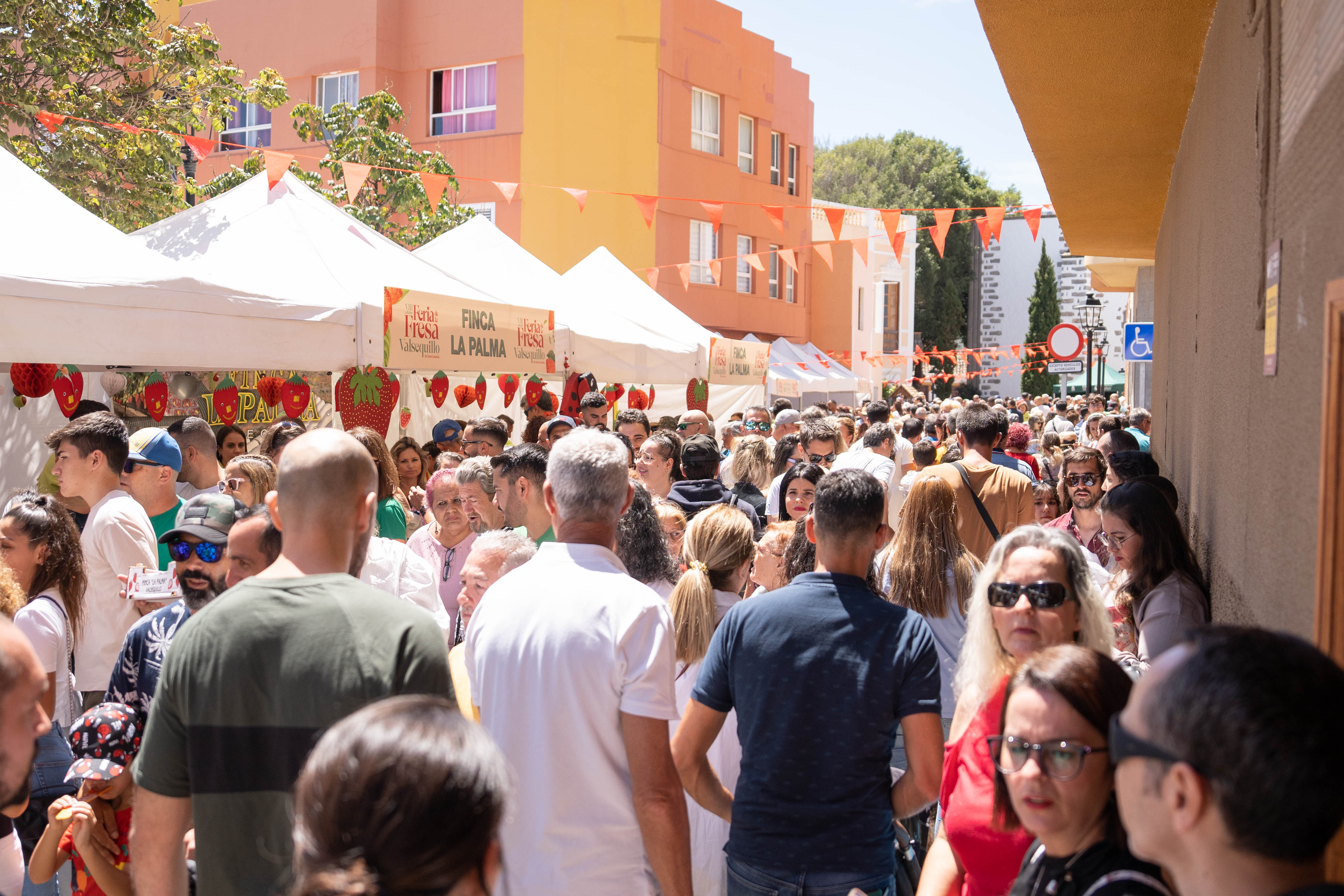 Feria de la Fresa de Valsequillo / CanariasNoticias.es 