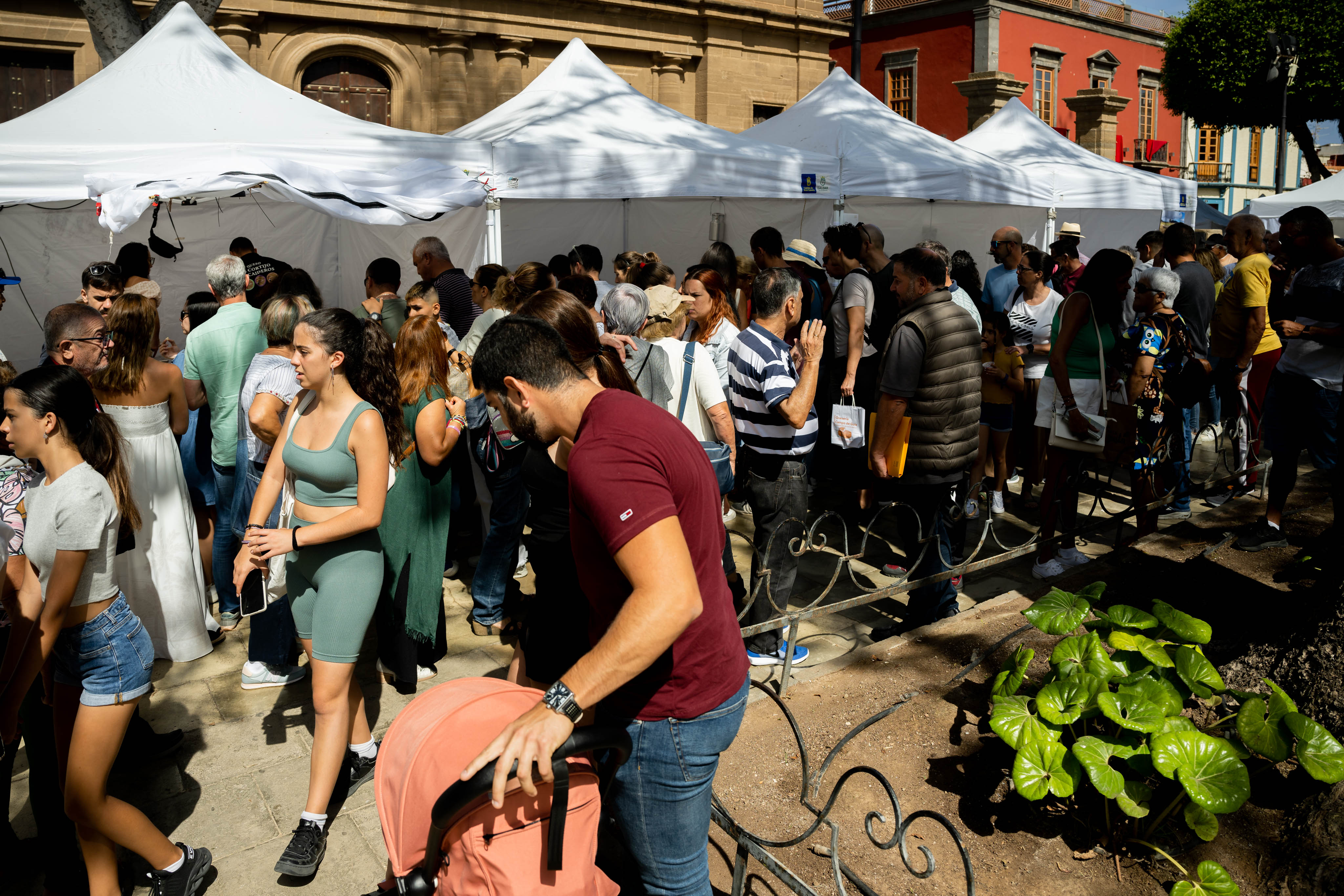  Feria del Queso de Gáldar / CanariasNoticias.es 