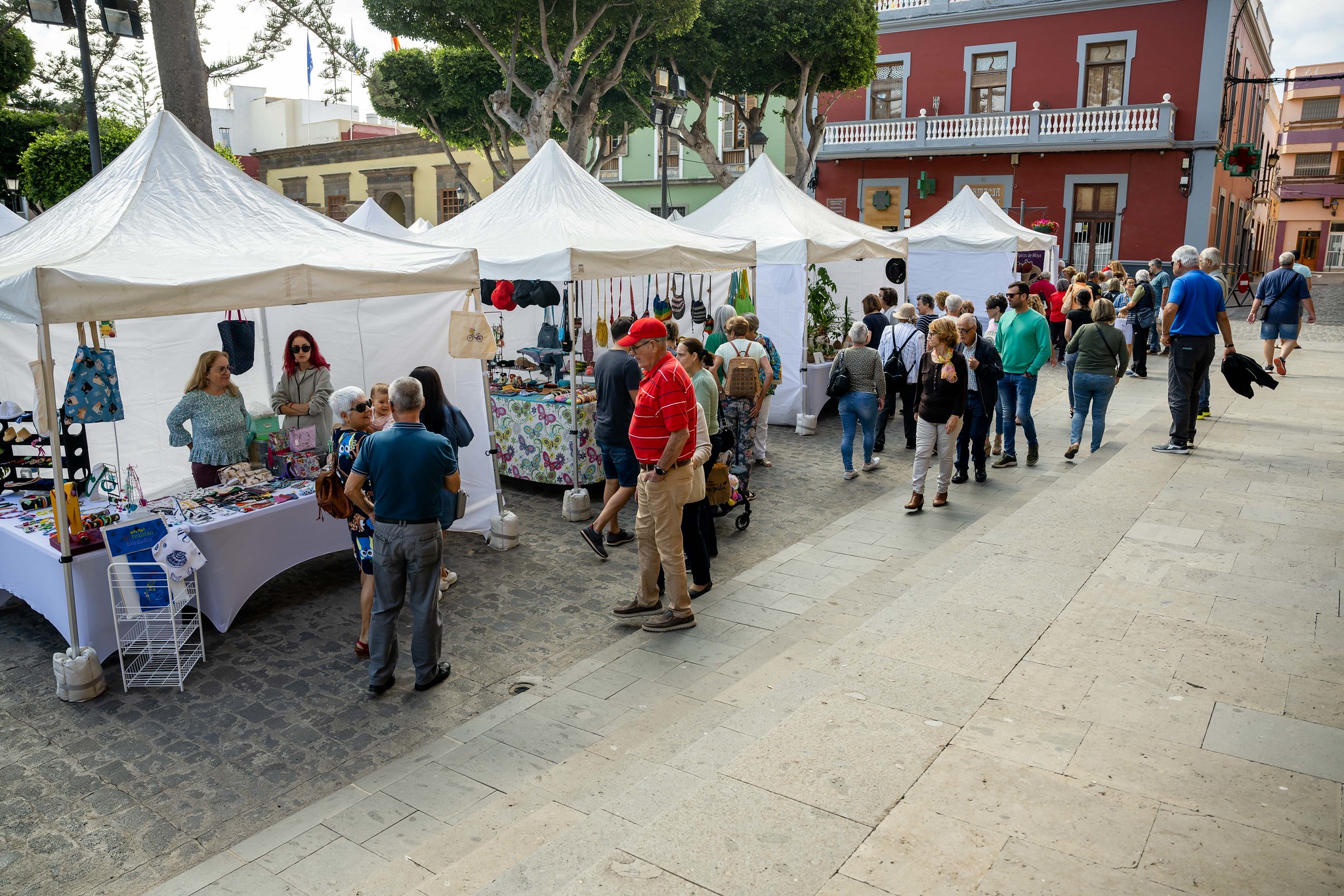  Feria del Queso de Gáldar / CanariasNoticias.es 