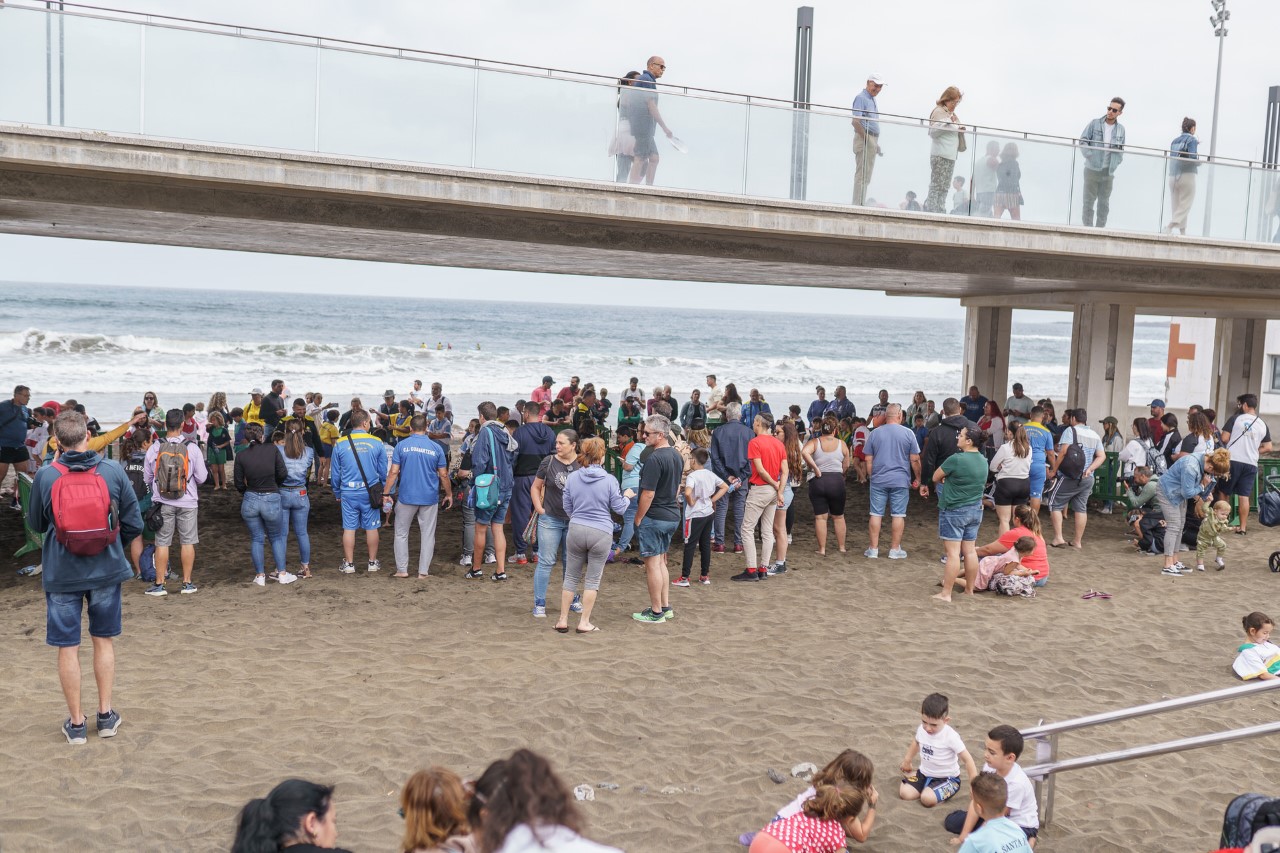 La cantera de la Lucha Canaria de Gran Canaria/ canariasnoticias.es