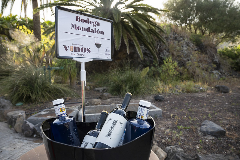 Los vinos de Gran Canaria descorchan la primera botella del 2022 / CanariasNoticias.es