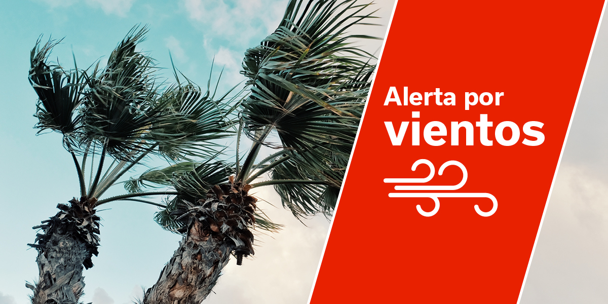 Alerta por viento en Canarias 