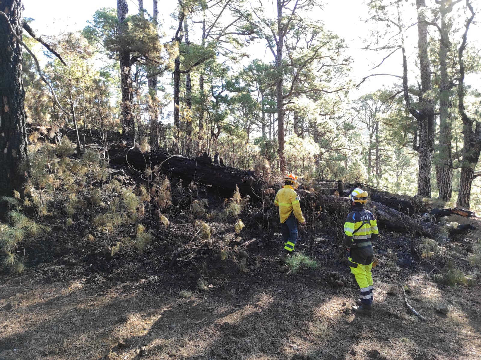 Extinguido el incendio forestal