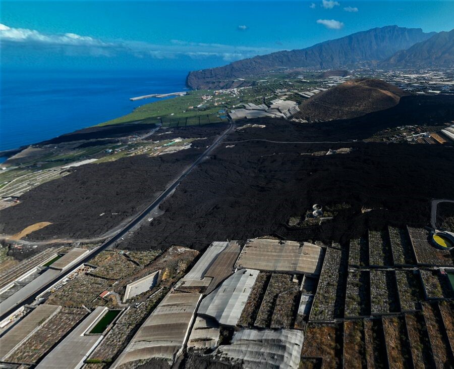 Zona platanera afectada por la erupción del volcán de La Palma 