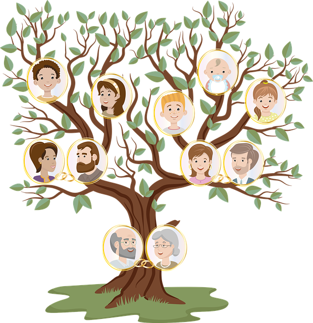 Cómo hacer un árbol genealógico