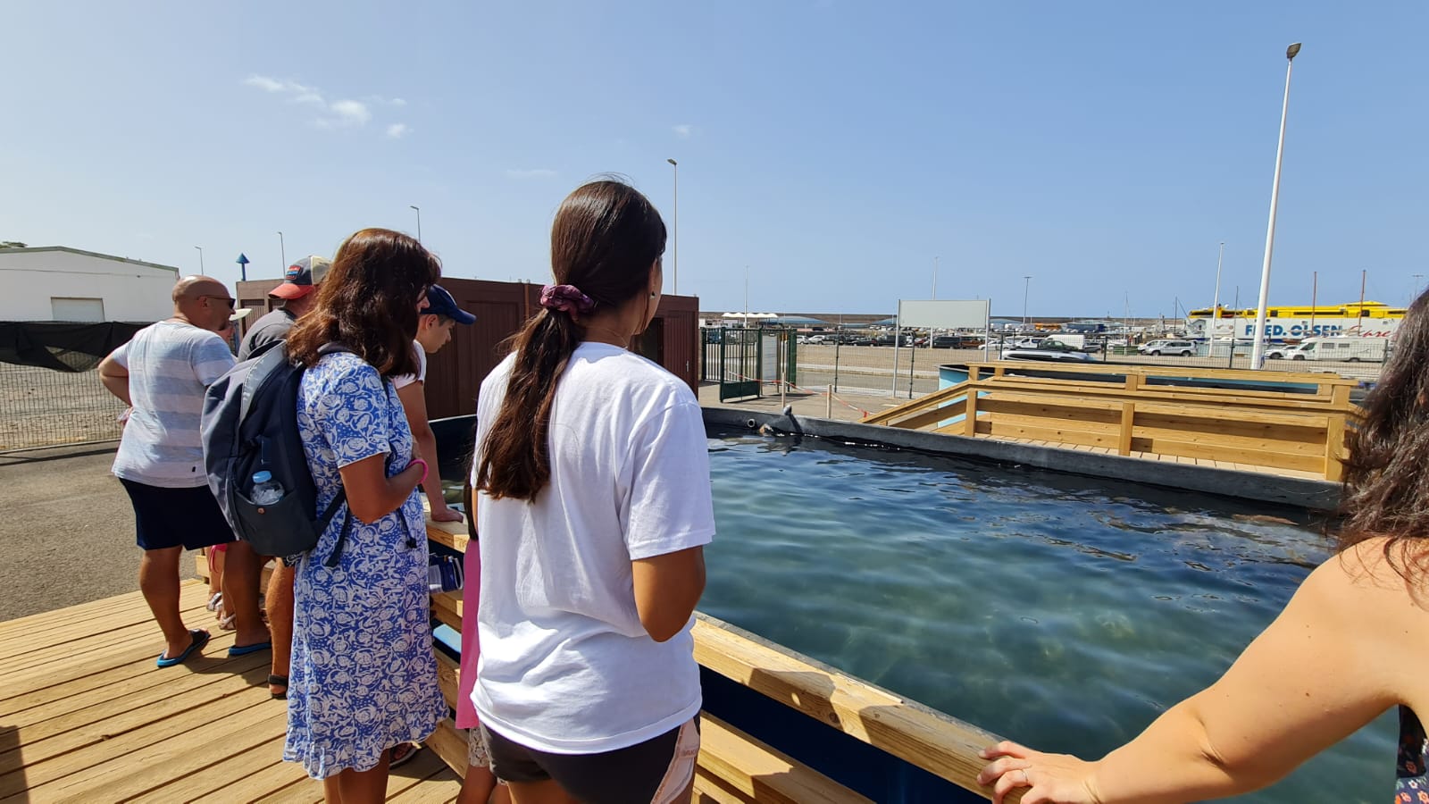 Centro de Recuperación y Conservación de Tortugas Marinas / CanariasNoticias.es 