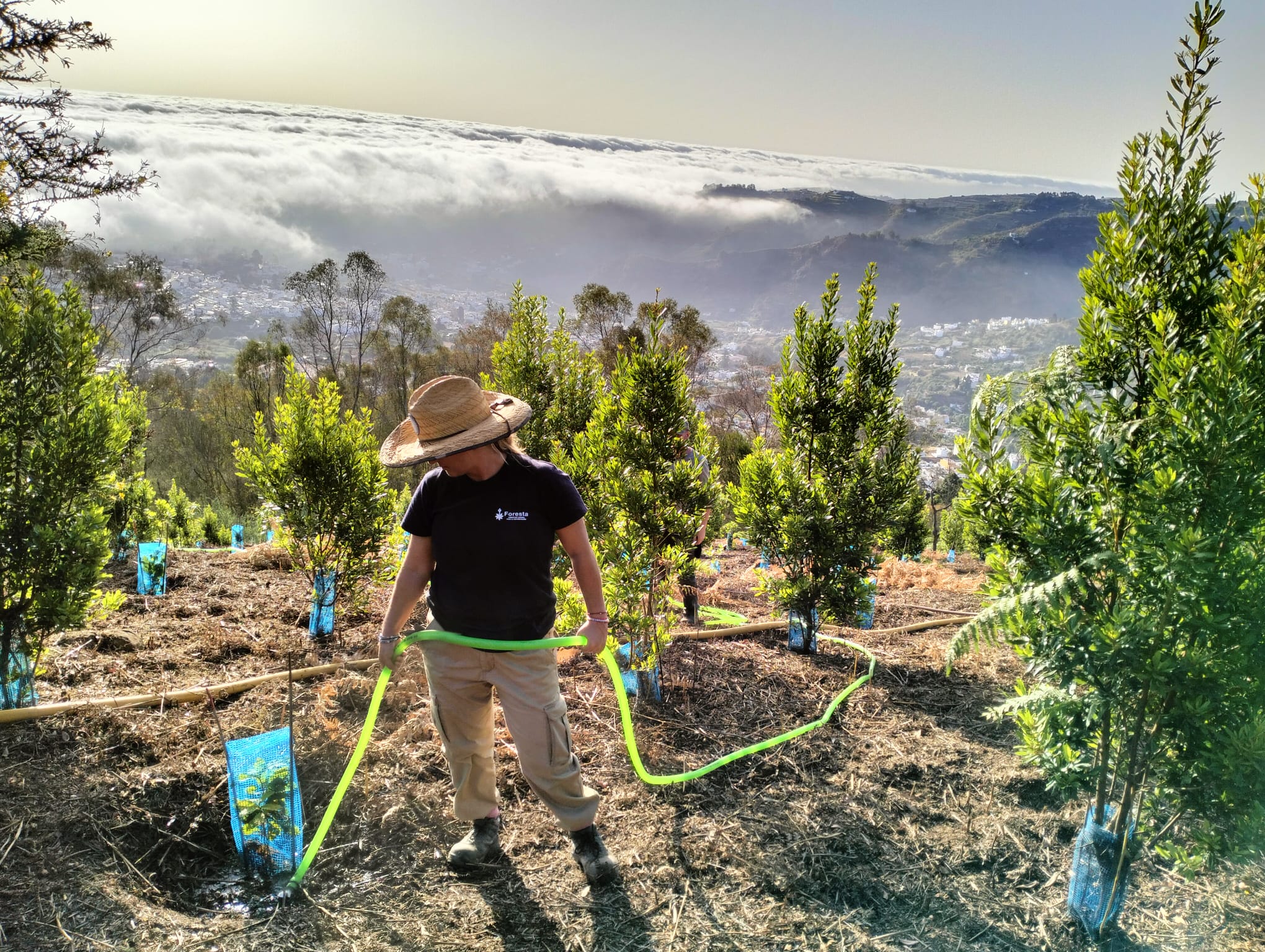 Proyecto Emplea Verde Gran Canaria / CanariasNoticias.es 