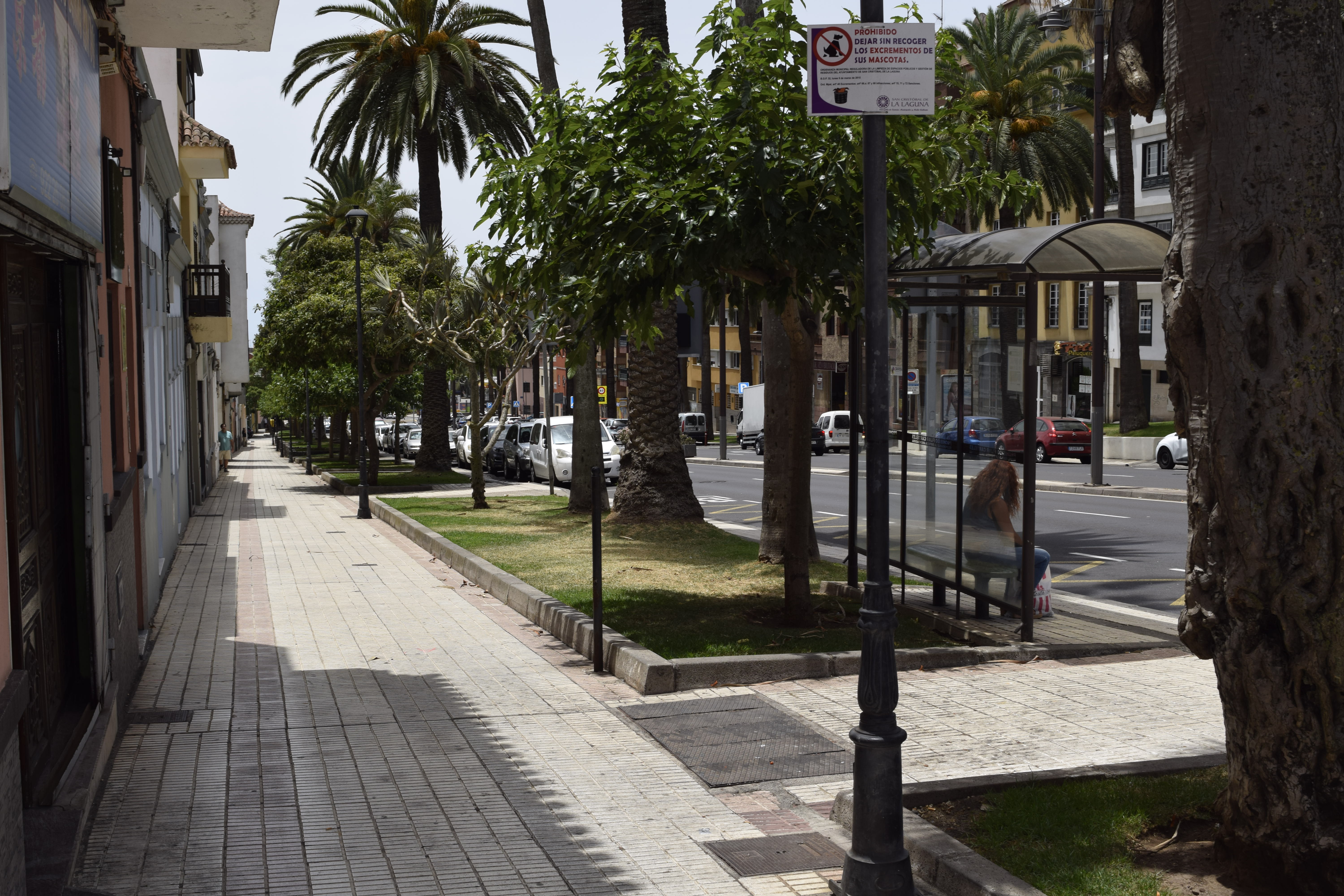 Avenida Leonardo Torriani / CanariasNoticias.es 
