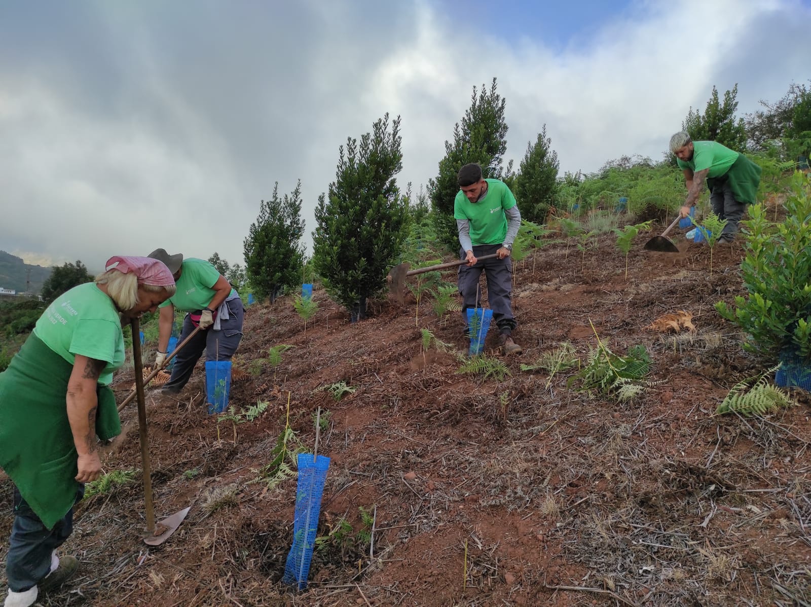 Proyecto Emplea Verde Gran Canaria / CanariasNoticias.es 