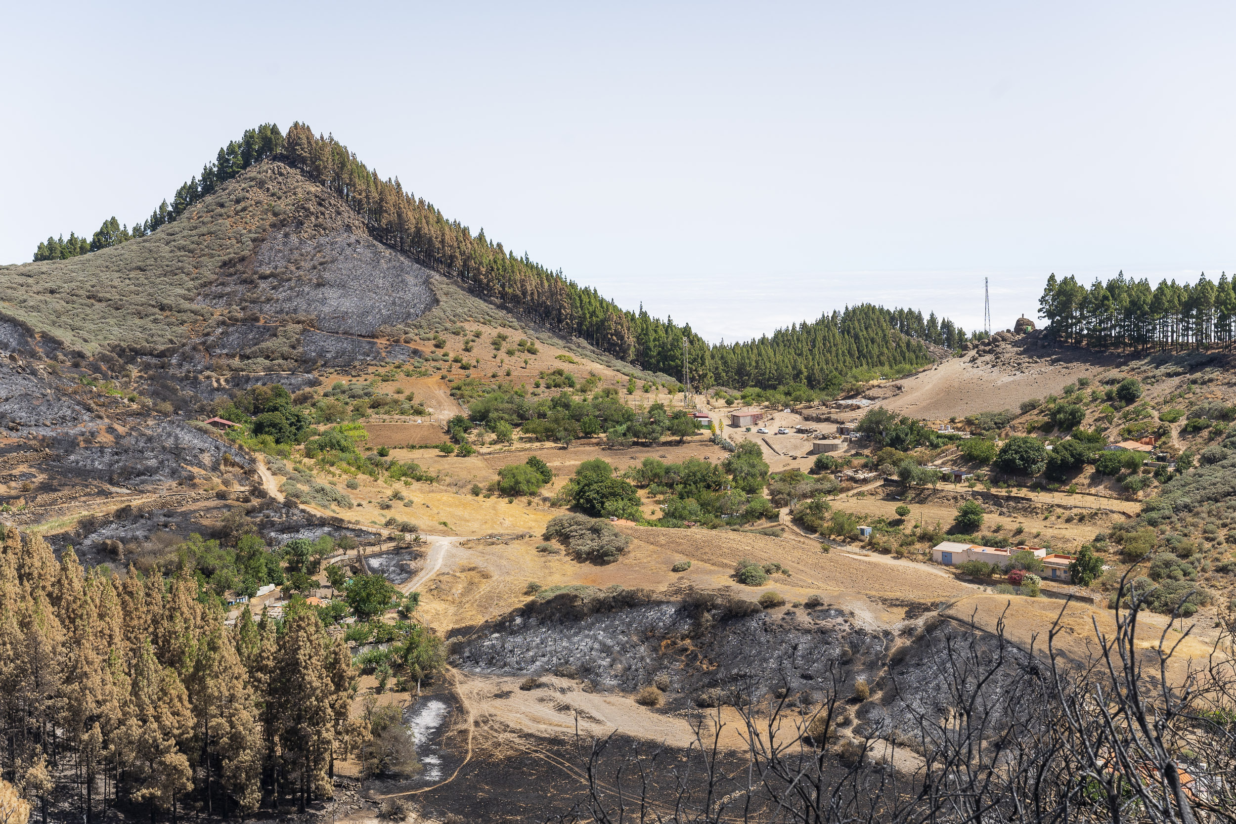 Incendio forestal en Tejeda / CanariasNoticias.es 