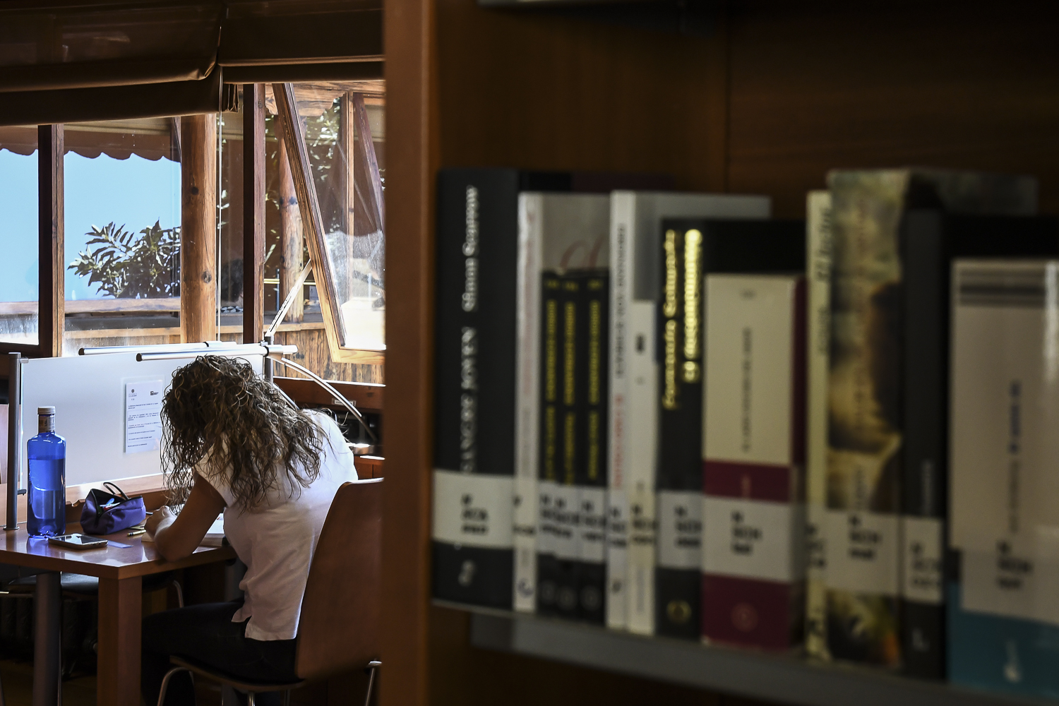 Biblioteca Municipal Adrián Alemán de Armas de La Laguna