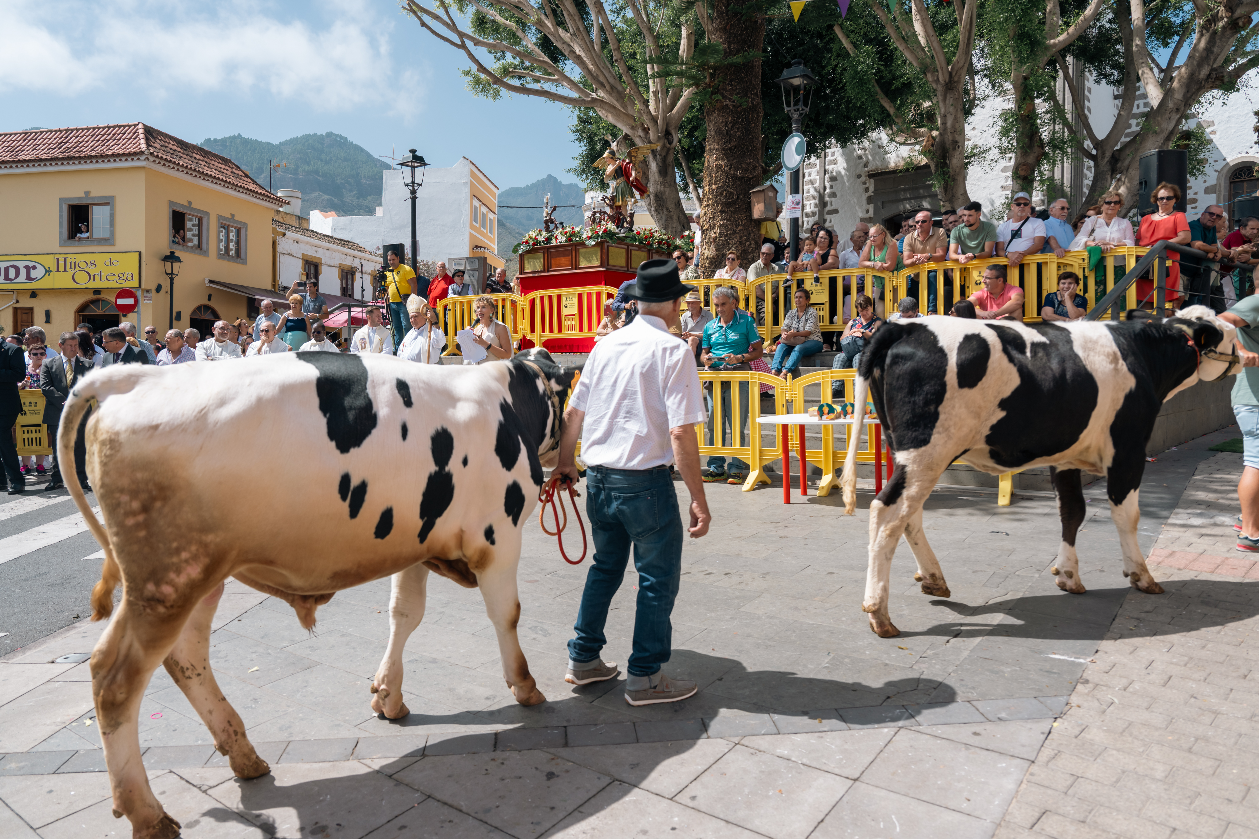 Feria de Ganado en Valsequillo / CanariasNoticias.es 
