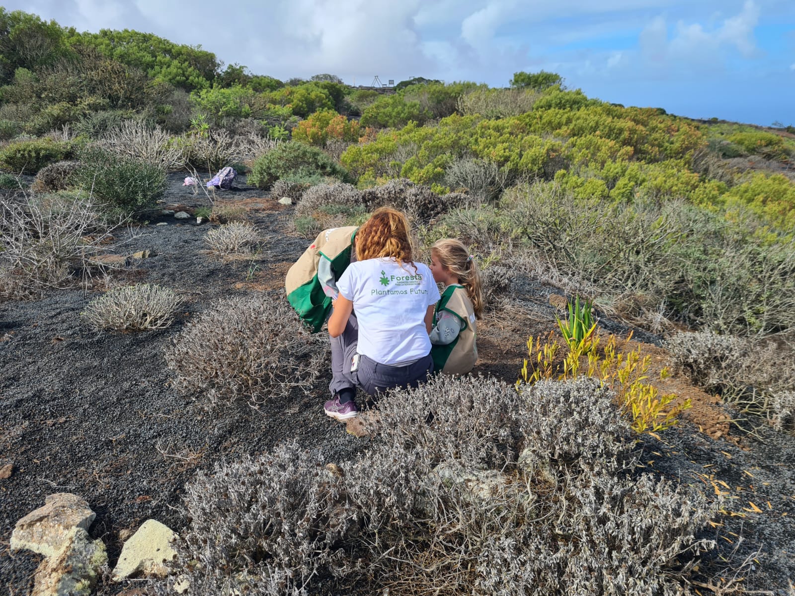 Reforestación en Haría / CanariasNoticias.es 