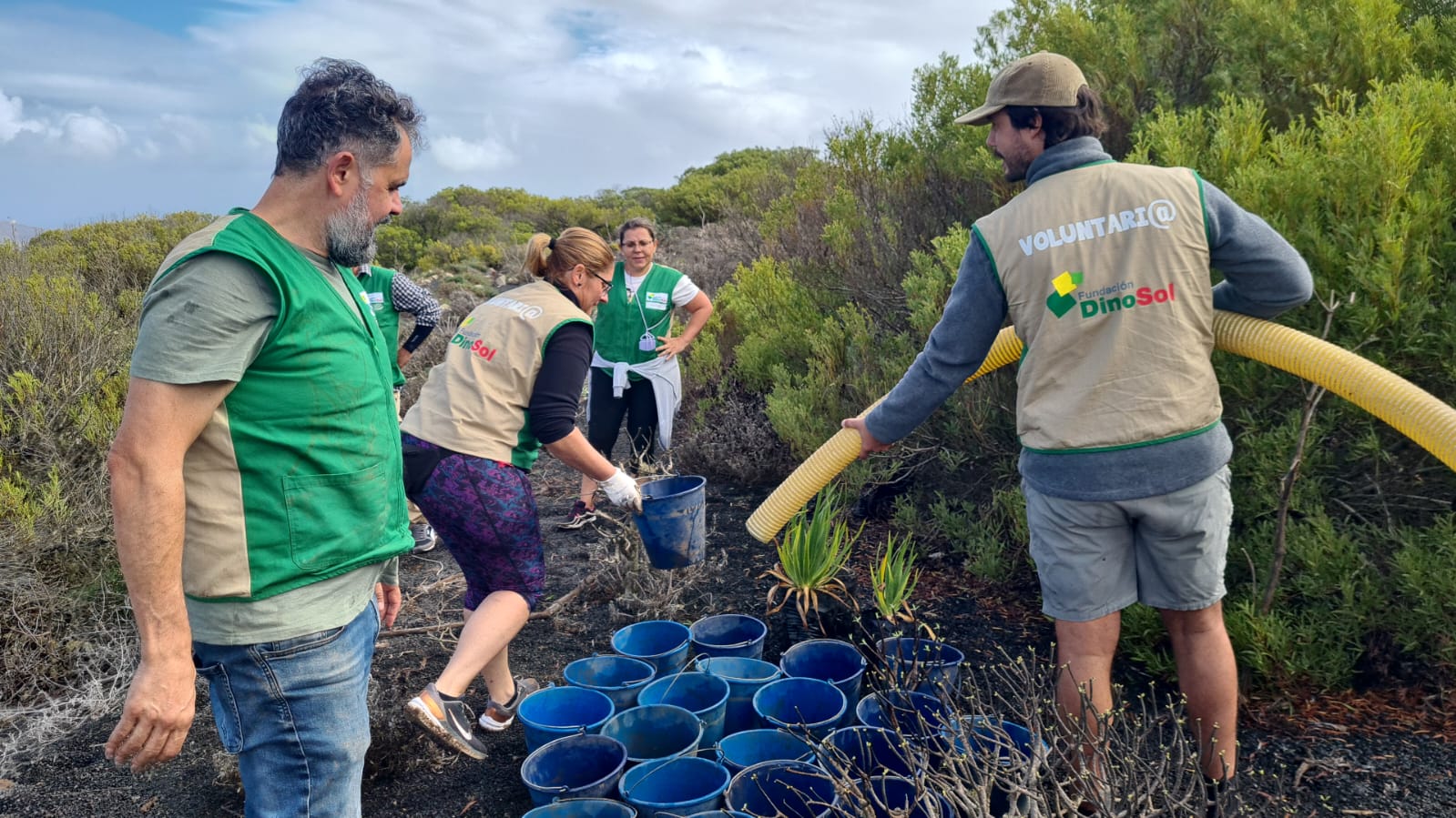 Reforestación en Haría / CanariasNoticias.es 