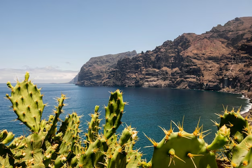 Viajar en furgoneta por Canarias