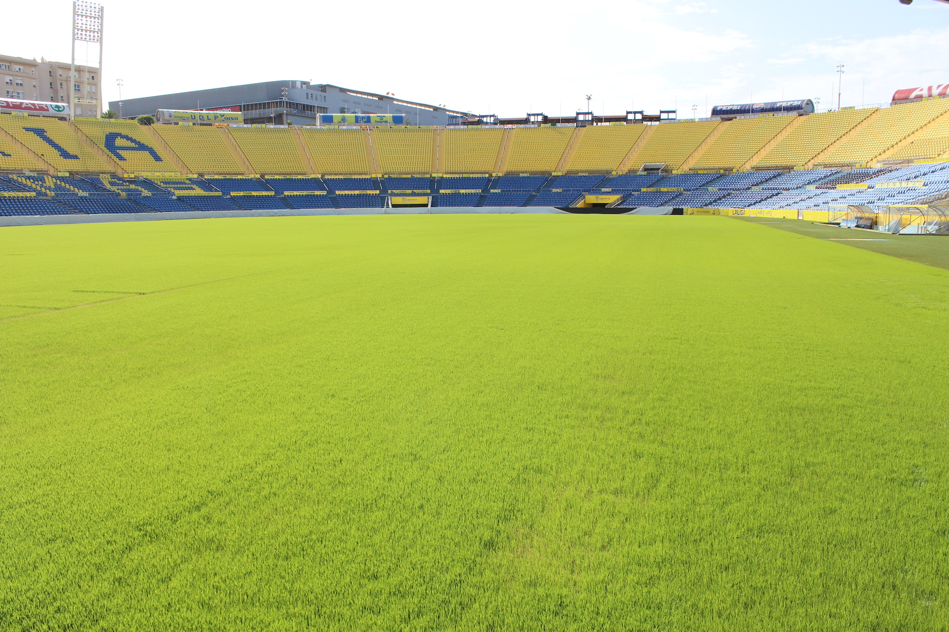 Césped Estadio de Gran Canaria / CanariasNoticias.es 