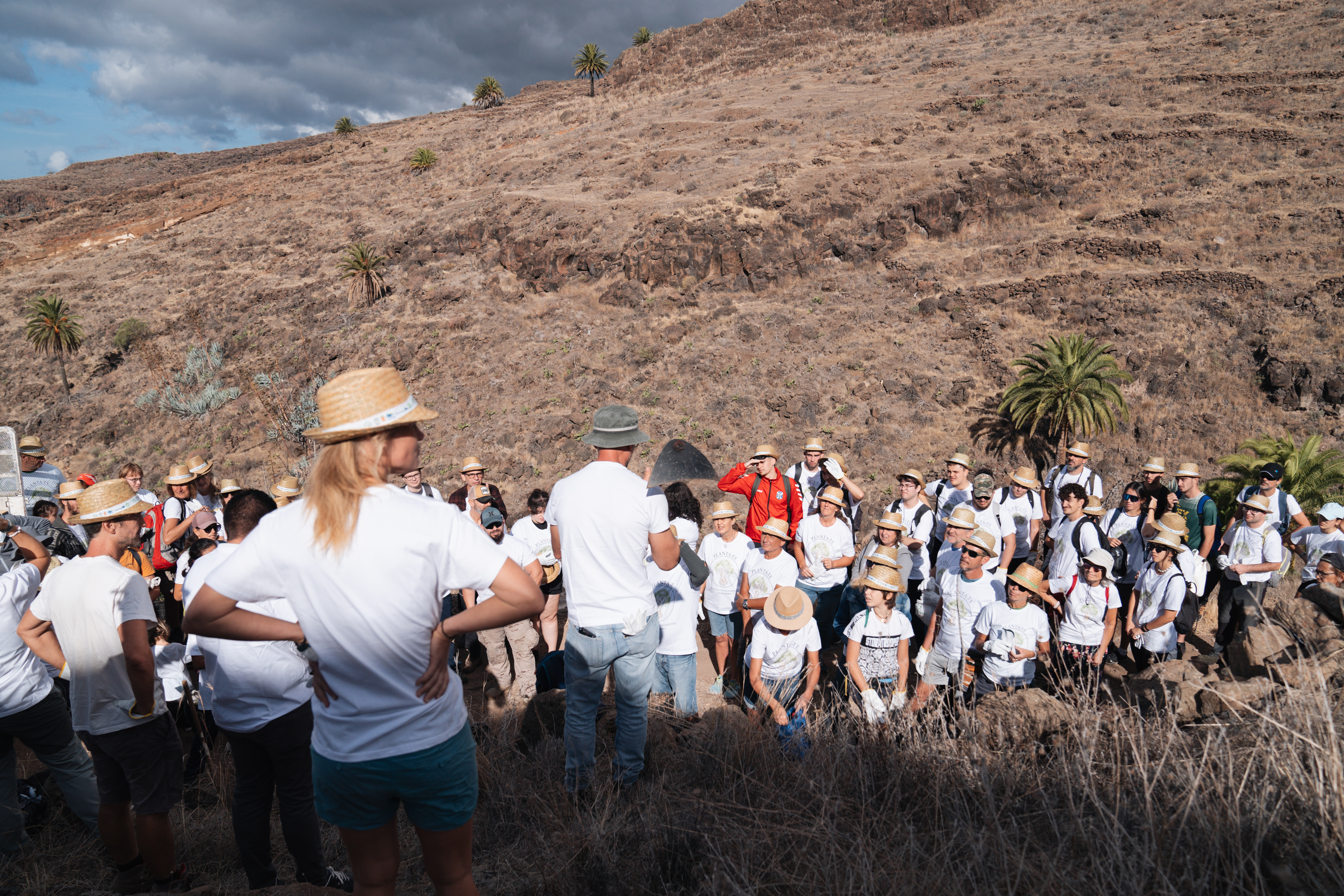 Plantación en La Gomera / CanariasNoticias.es