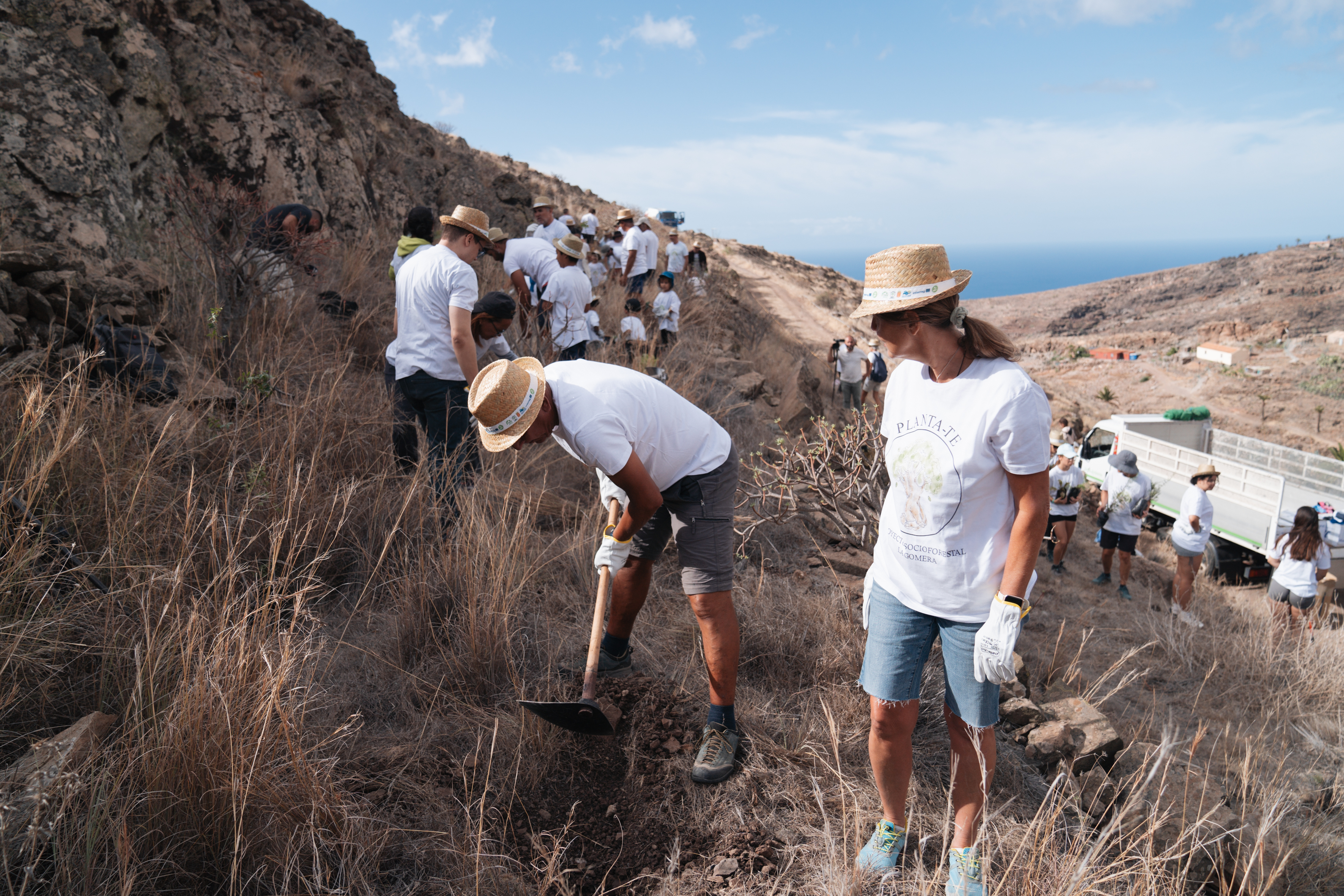 Plantación en La Gomera / CanariasNoticias.es