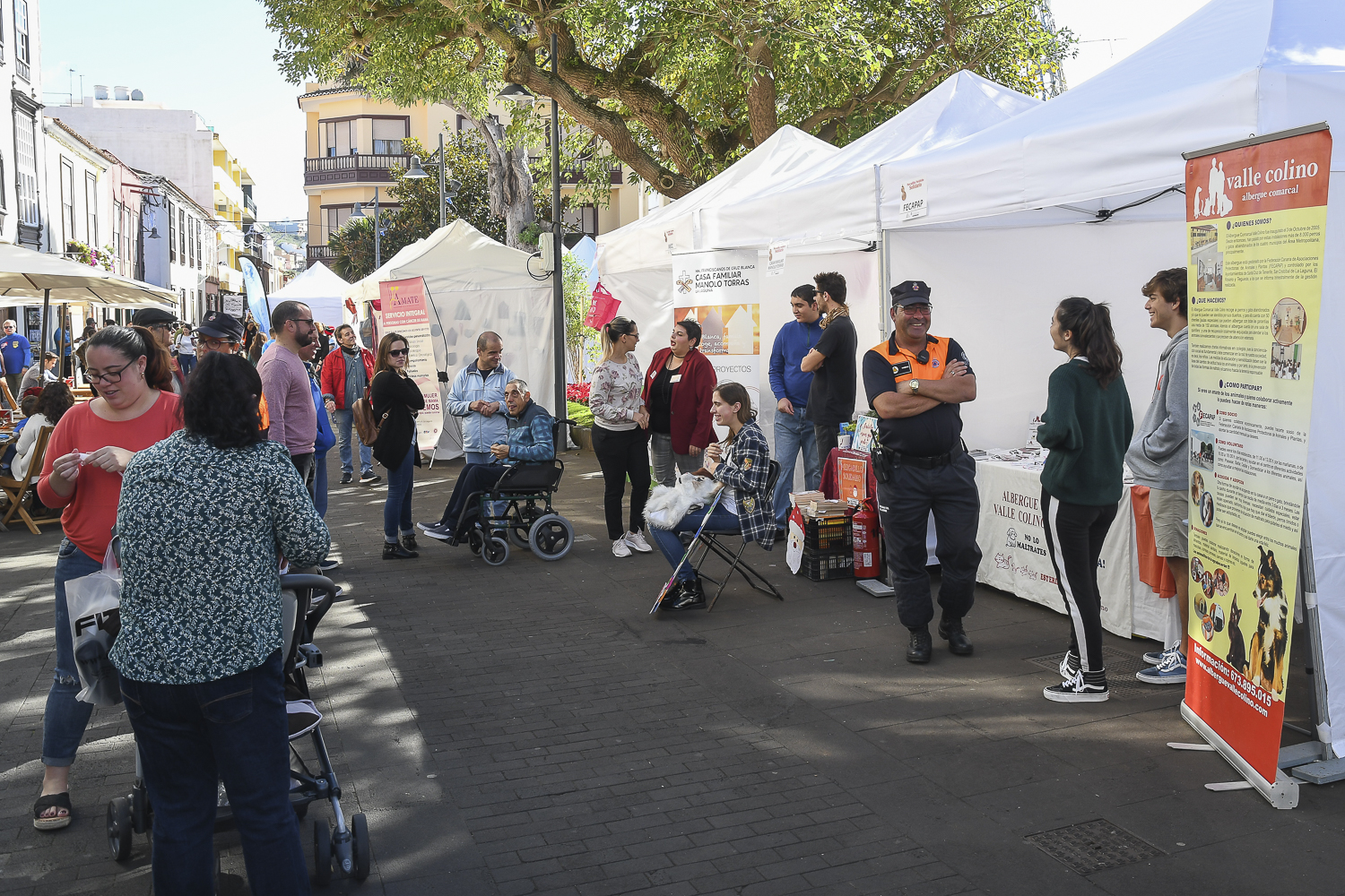 Mercadillo Solidario de la Navidad / CanariasNoticias.es 