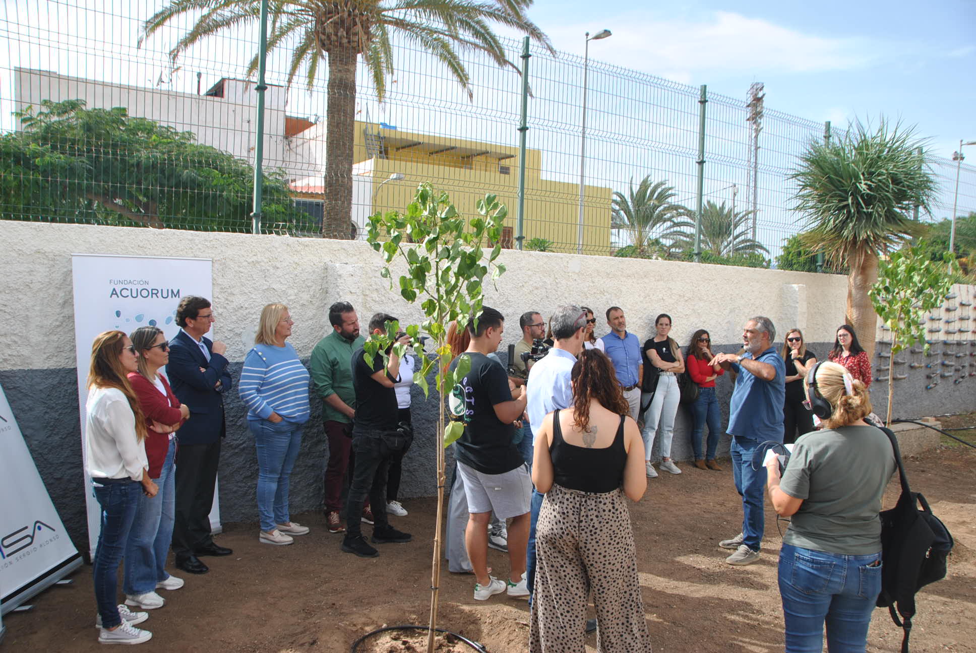 Proyecto Árboles / CanariasNoticias.es 