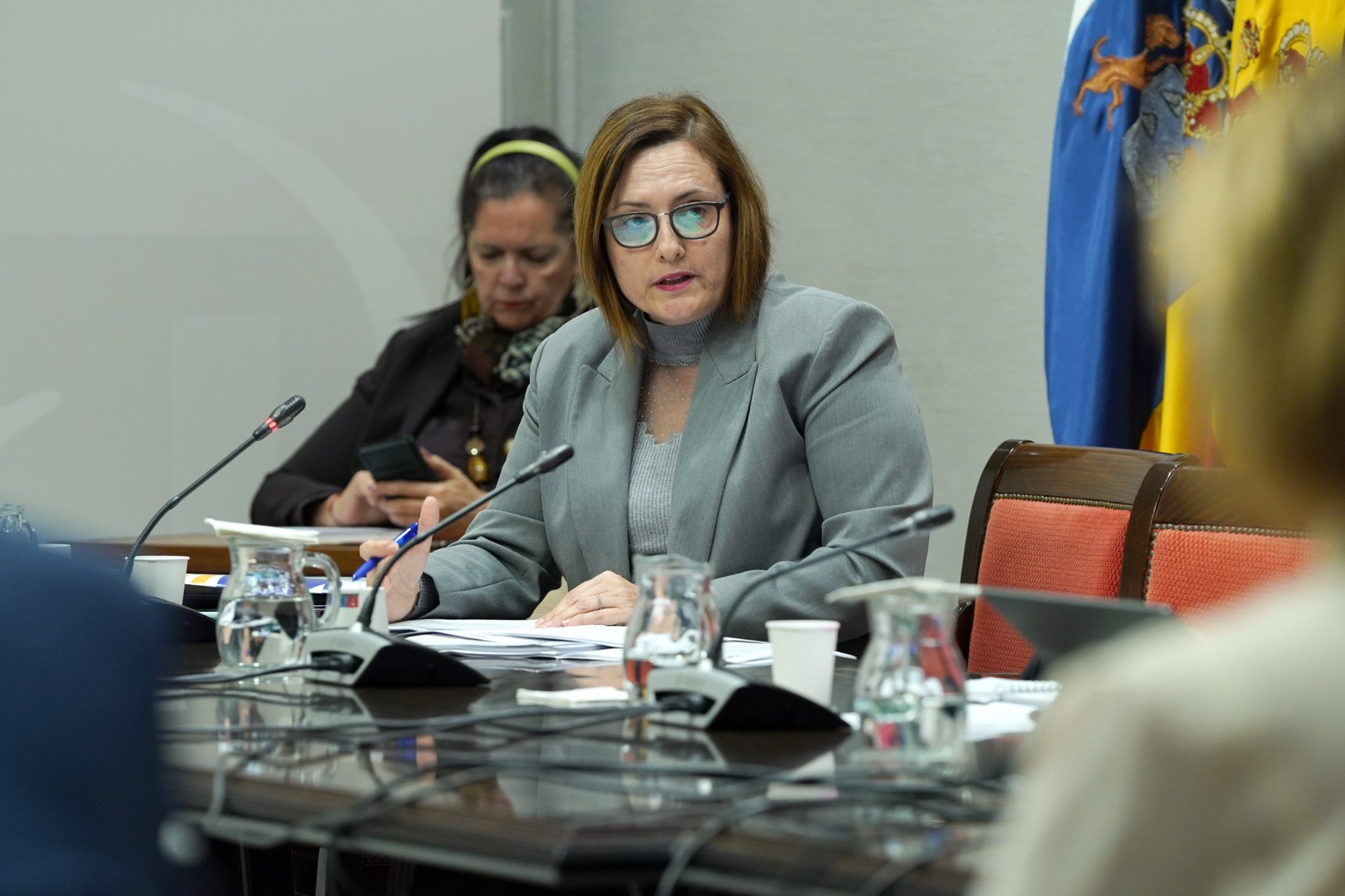 Candelaria Delgado, consejera de Bienestar Social / CanariasNoticias.es Candelaria Delgado, consejera de Bienestar Social / CanariasNoticias.es