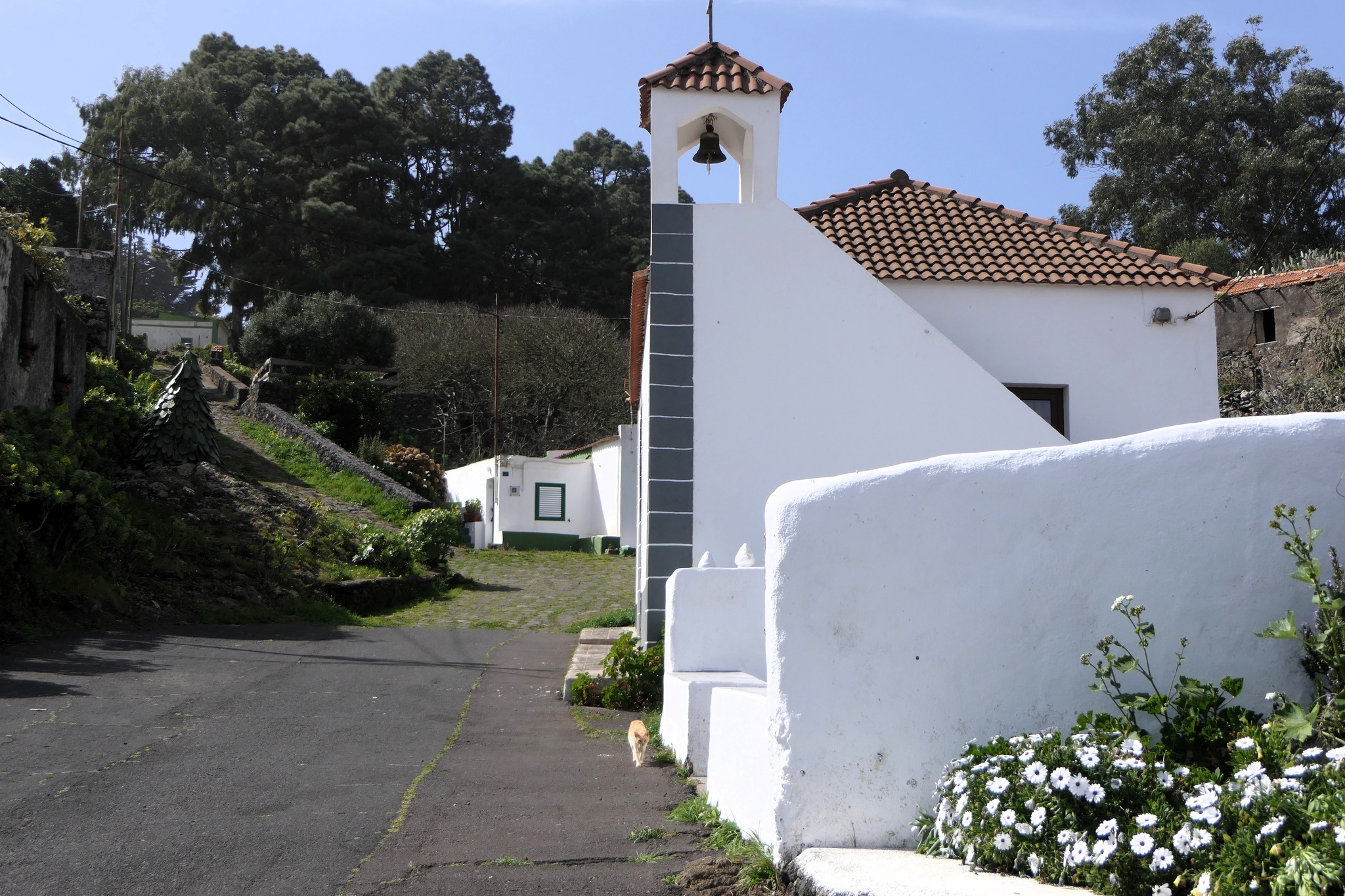 Tiñor (El Hierro) / CanariasNoticias.es 