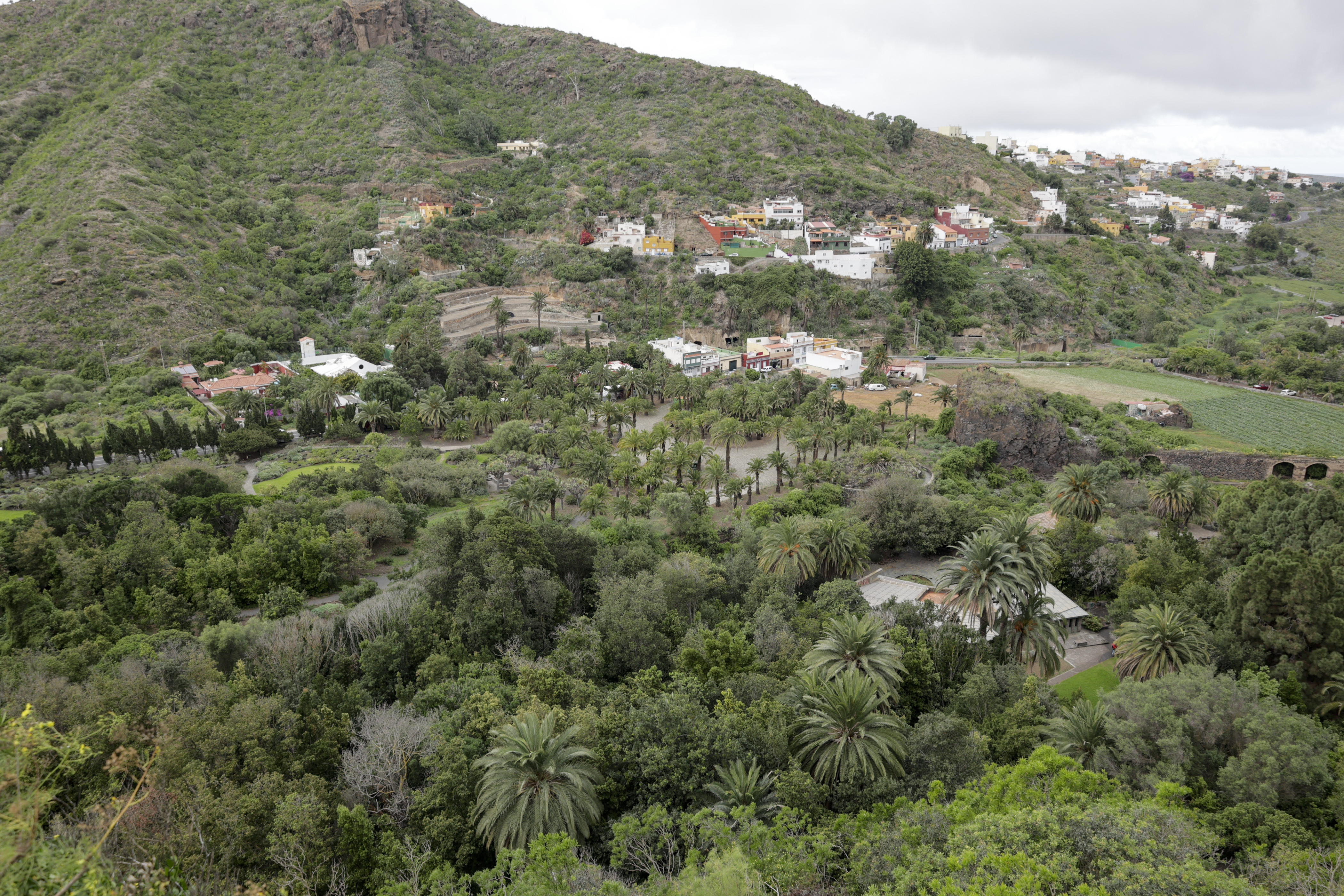 Jardín Canario / CanriasNoticias.es 