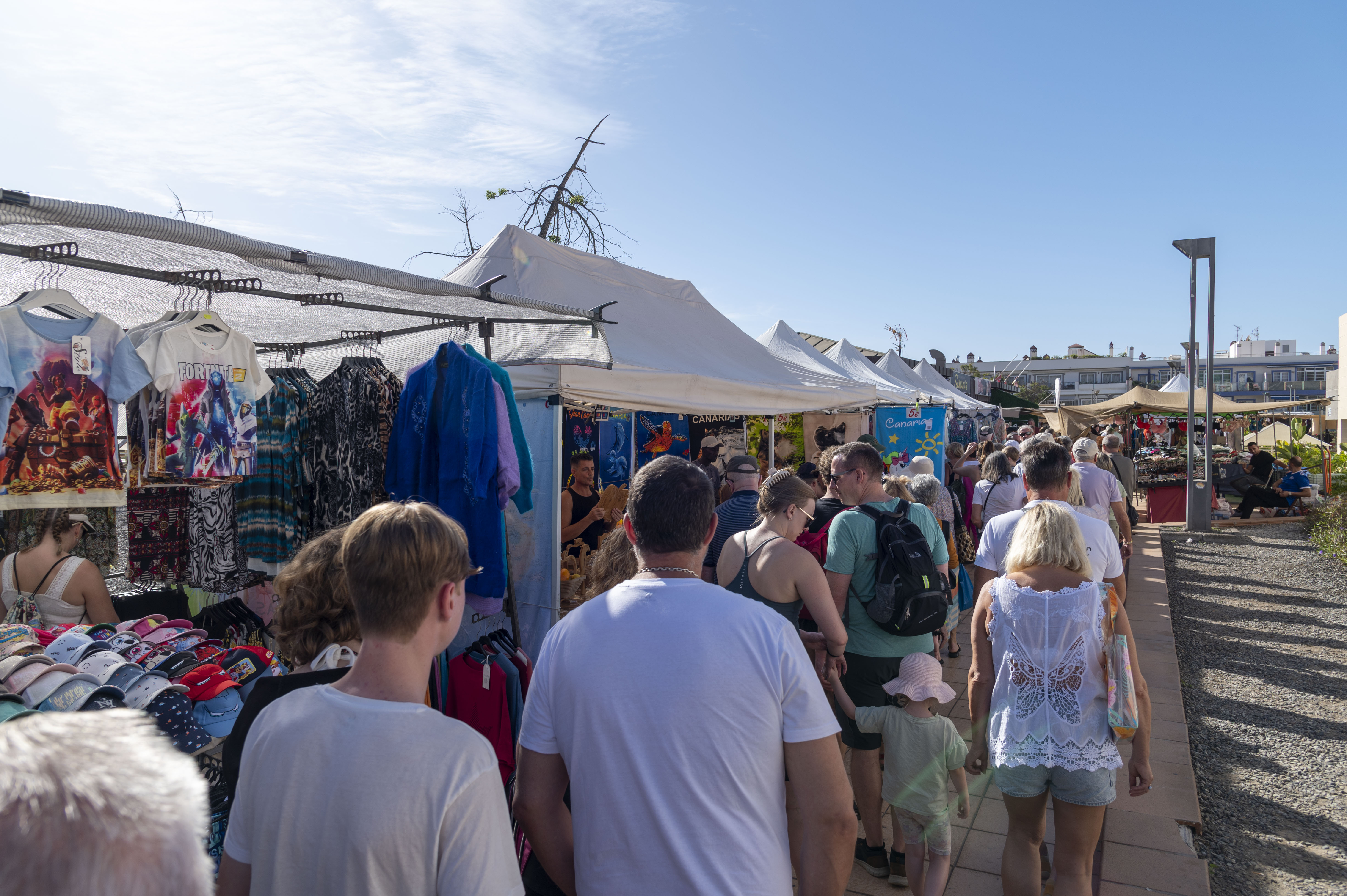 Mercadillo de Playa de Mogán / CanariasNoticias.es 