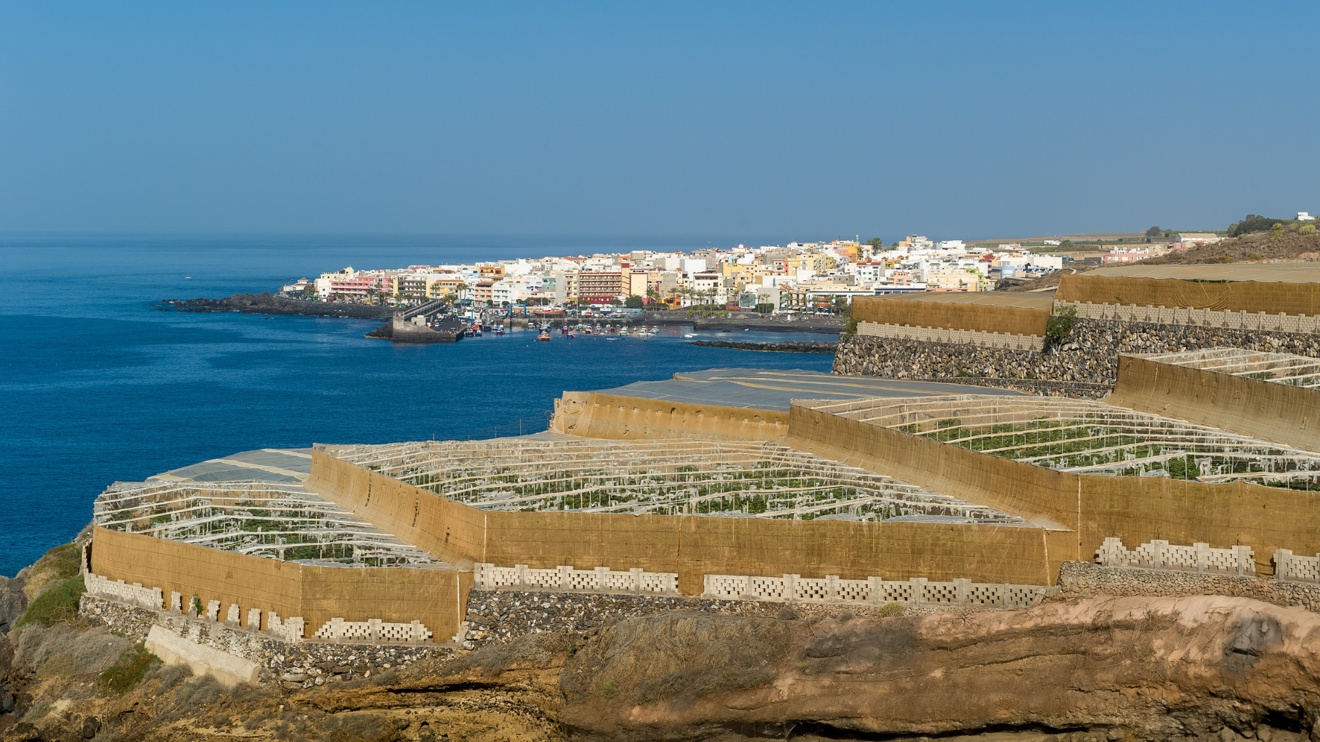 Explotaciones agrarias Tenerife / CanariasNoticias.es Explotaciones agrarias Tenerife / CanariasNoticias.es