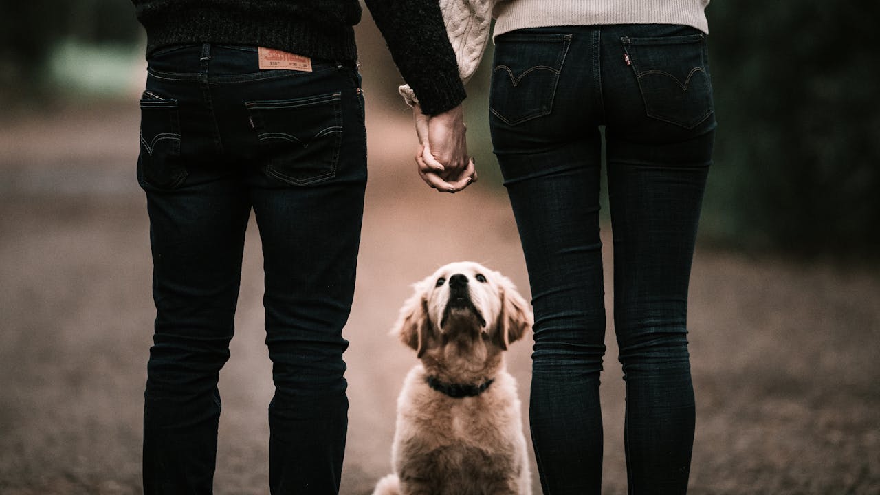 Imagen ilustrativa / Taryn Elliott (Pexels) Perro y pareja