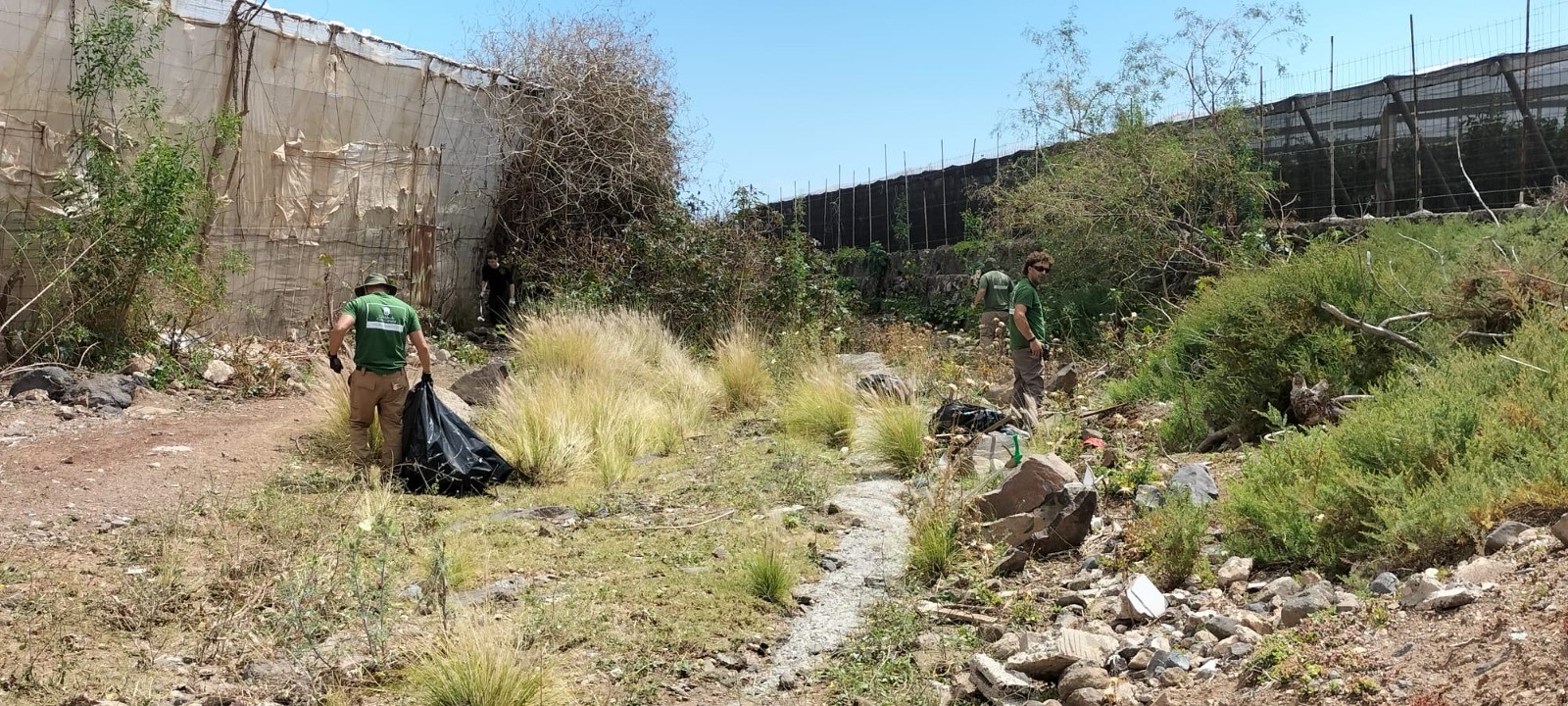 Limpieza de barrancos en Telde/ canariasnoticias.es