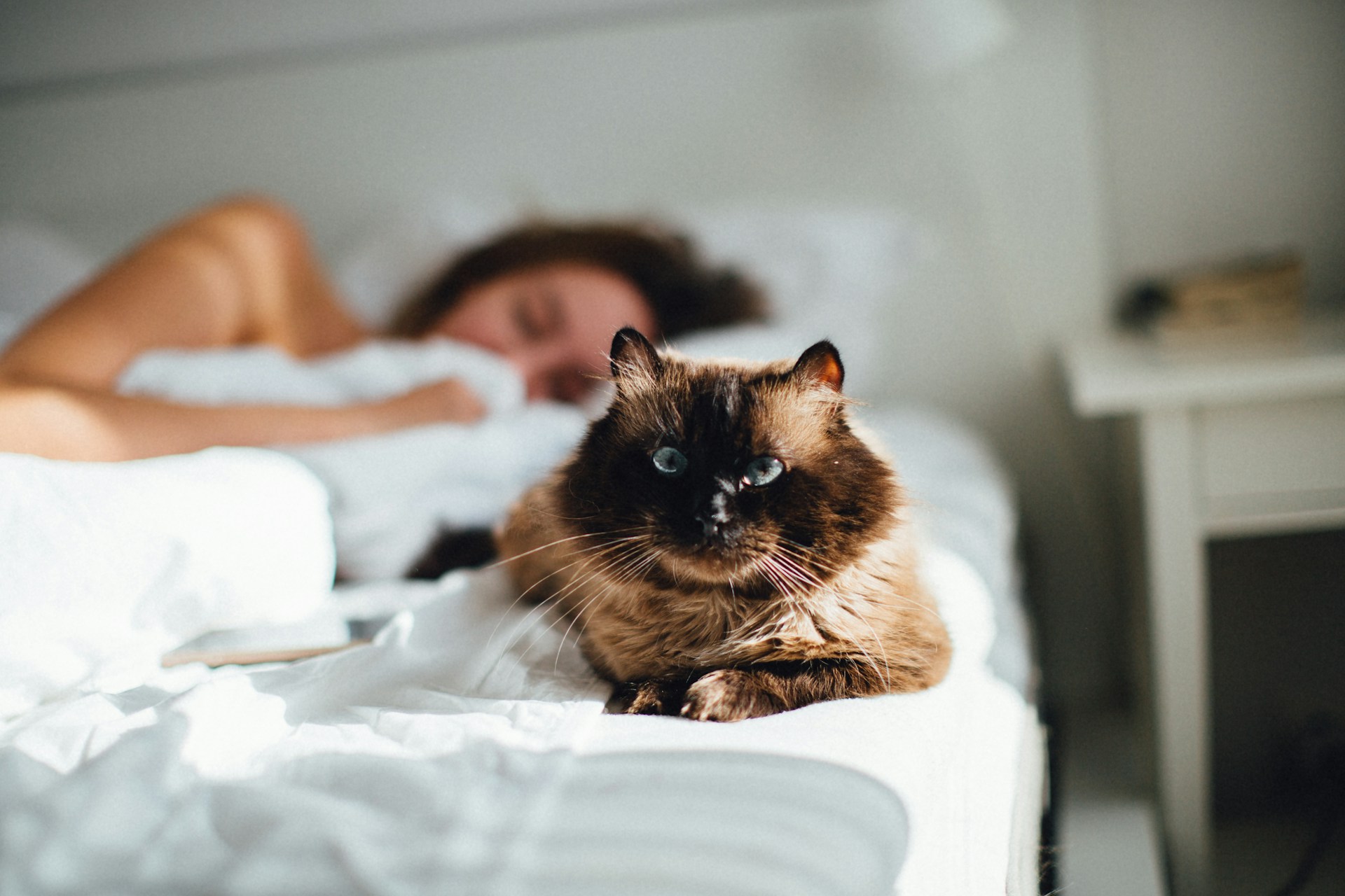 / Adam Kuylenstierna (Unsplash) Mujer durmiendo con un gato
