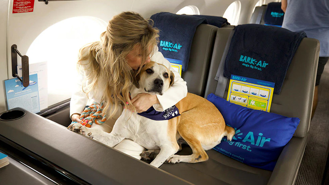 Bark Air Bark Air