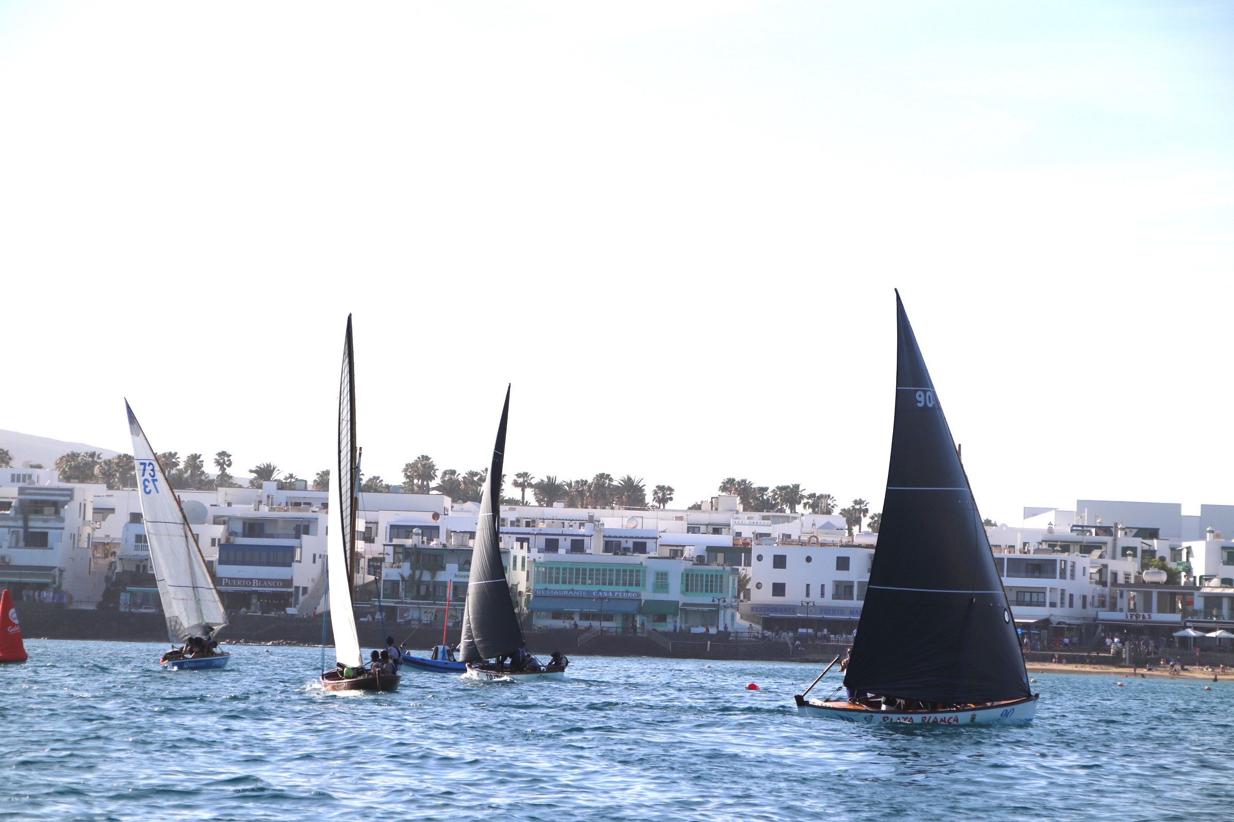 Copa Vela Latina del Sur / CanariasNoticias.es 