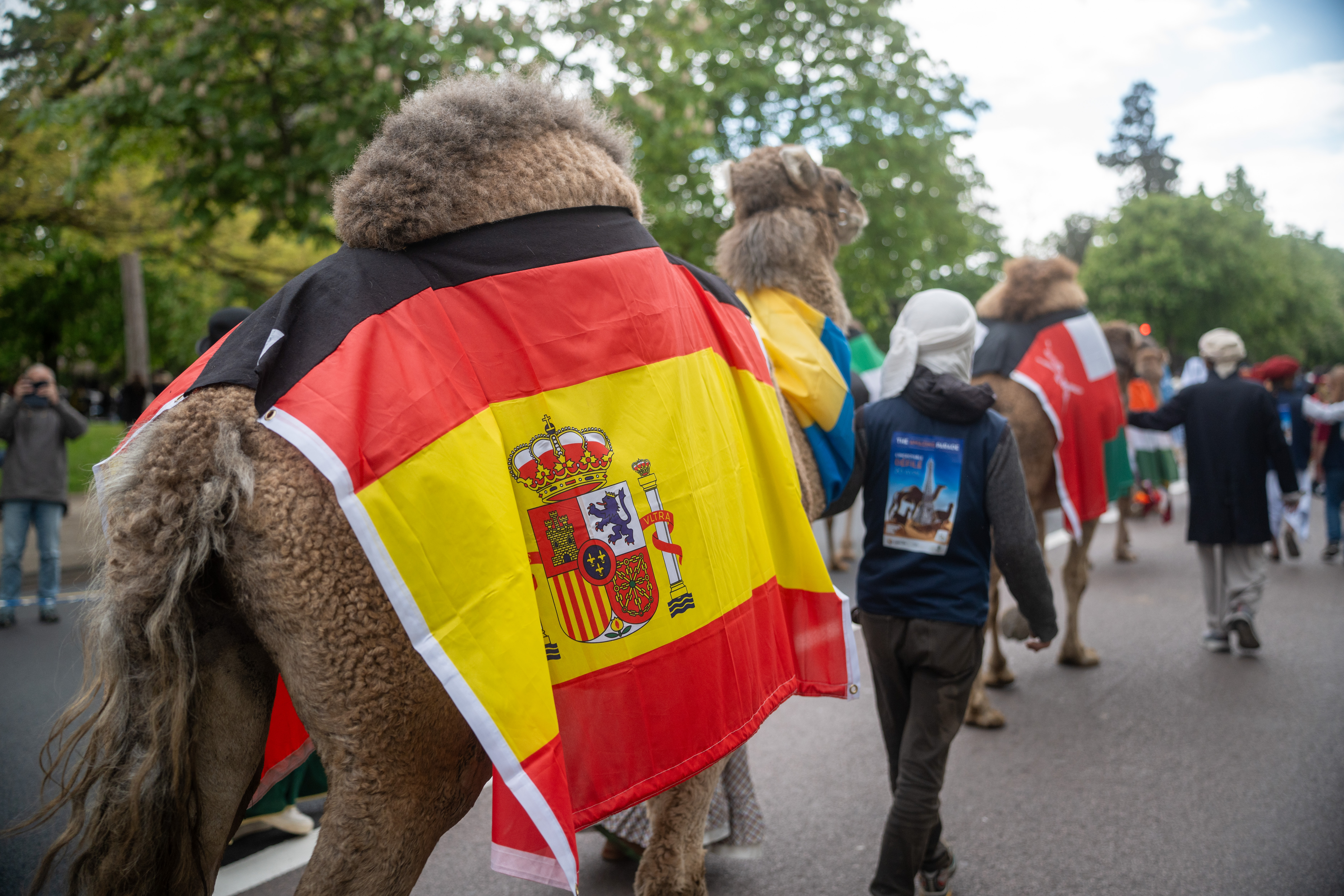 Dromemilk Camel Bio Farm en París / CanariasNoticias.es 